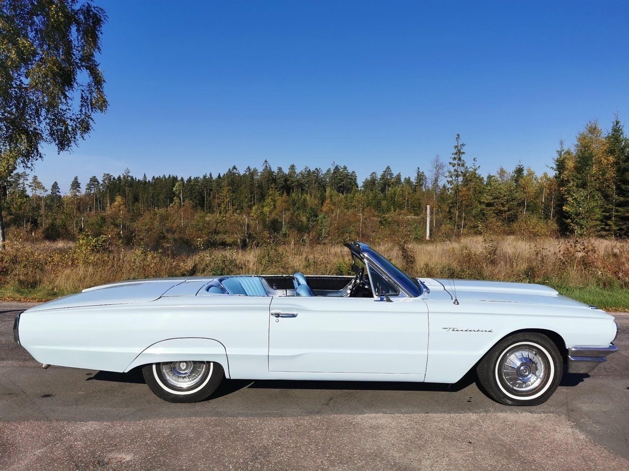 Ford Thunderbird Cabriolet 6.4 V8 1964, bild 6/33