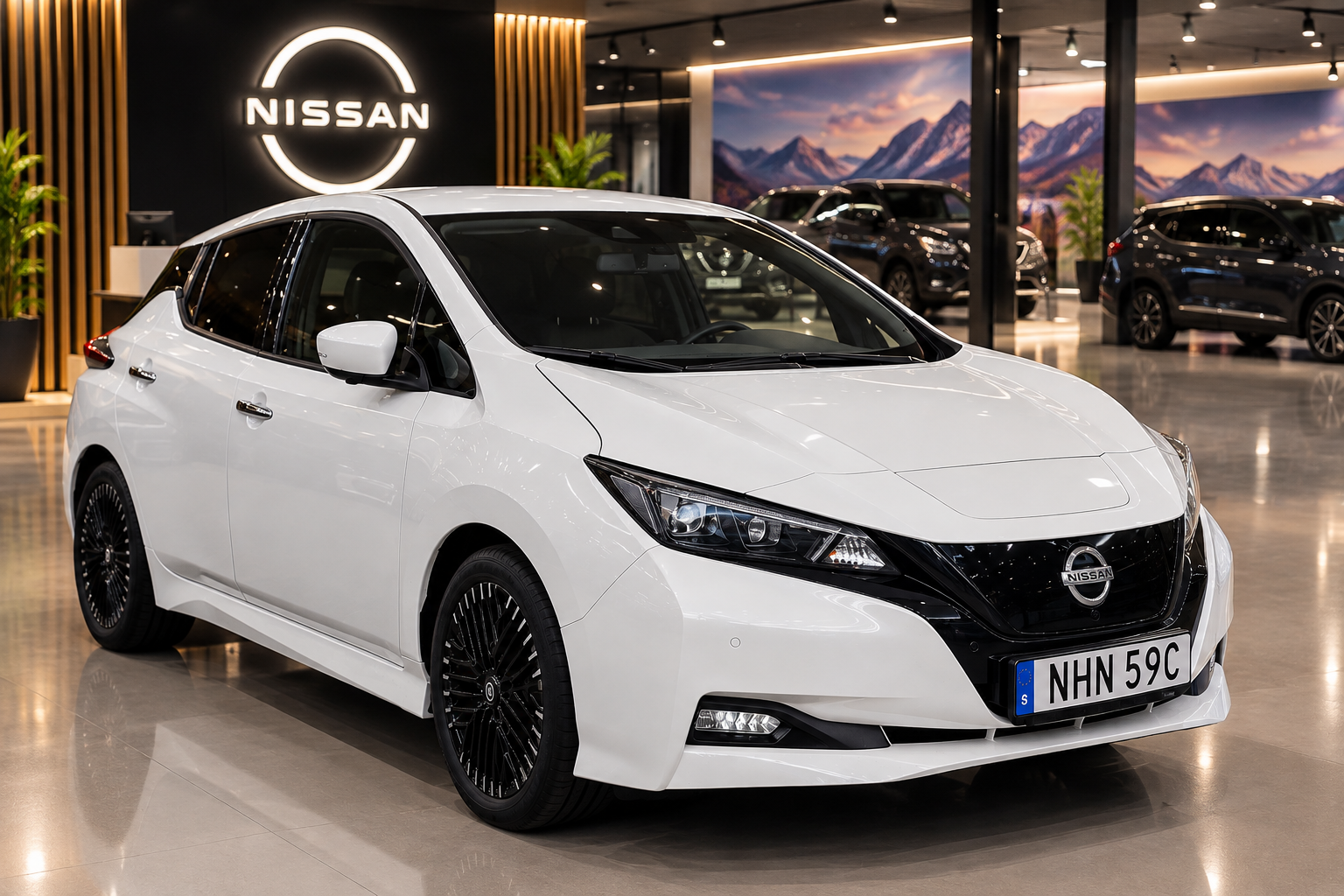 Nissan Leaf N connect 2024, bild 2/10