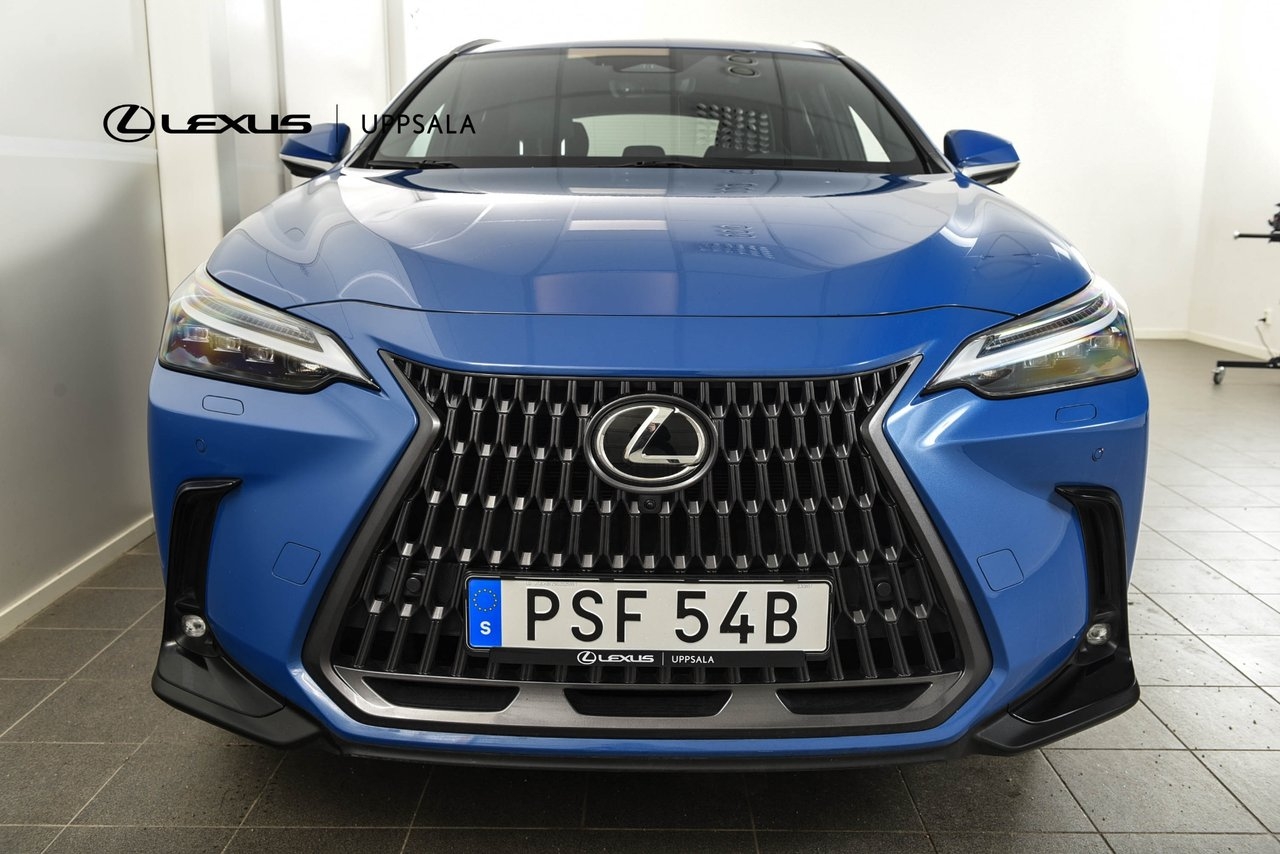 Lexus NX 2023, photo 5/18