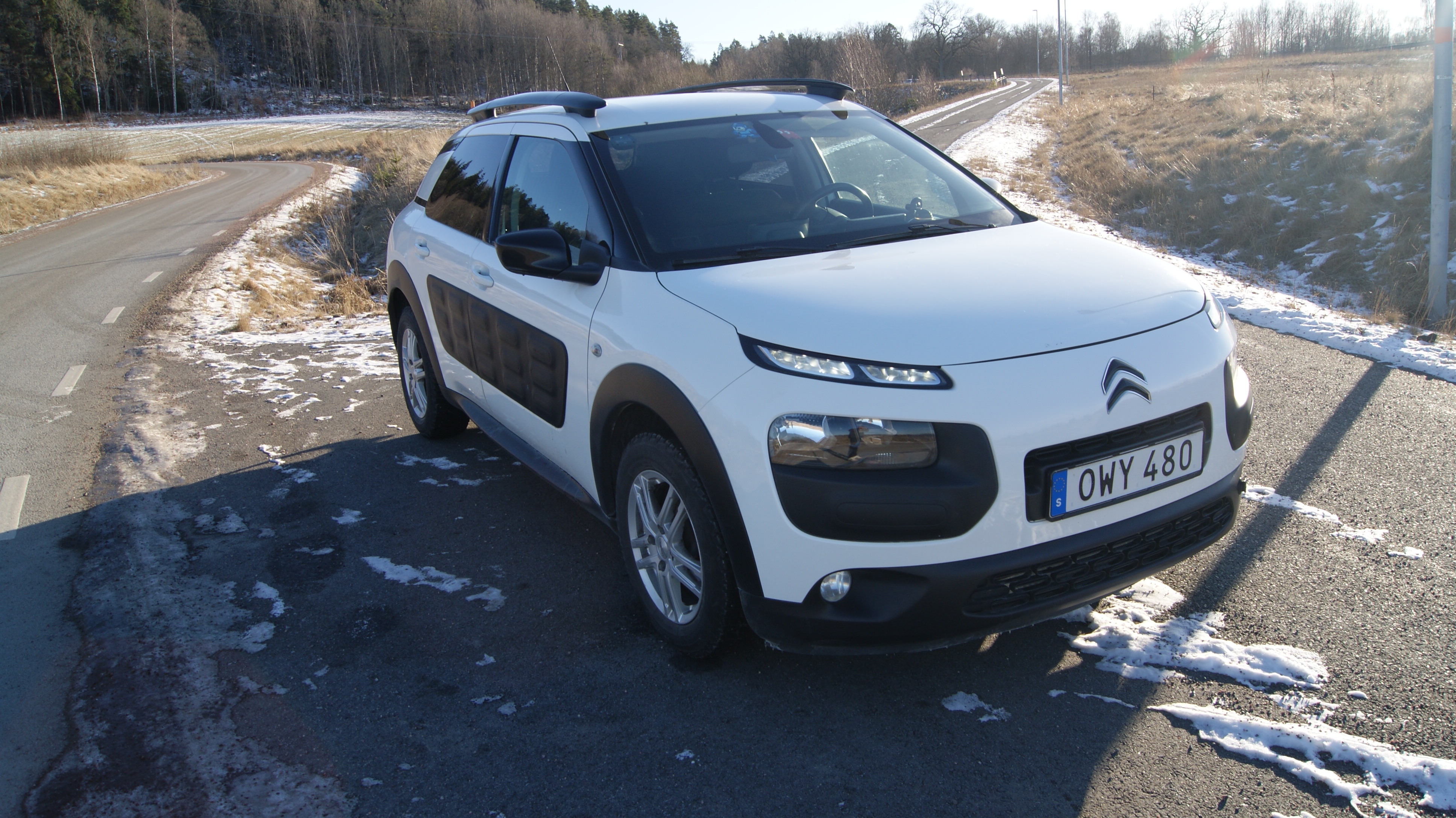 Citroen C4 Cactus 1.6 BlueHDi Manuell 2015, bild 2/9