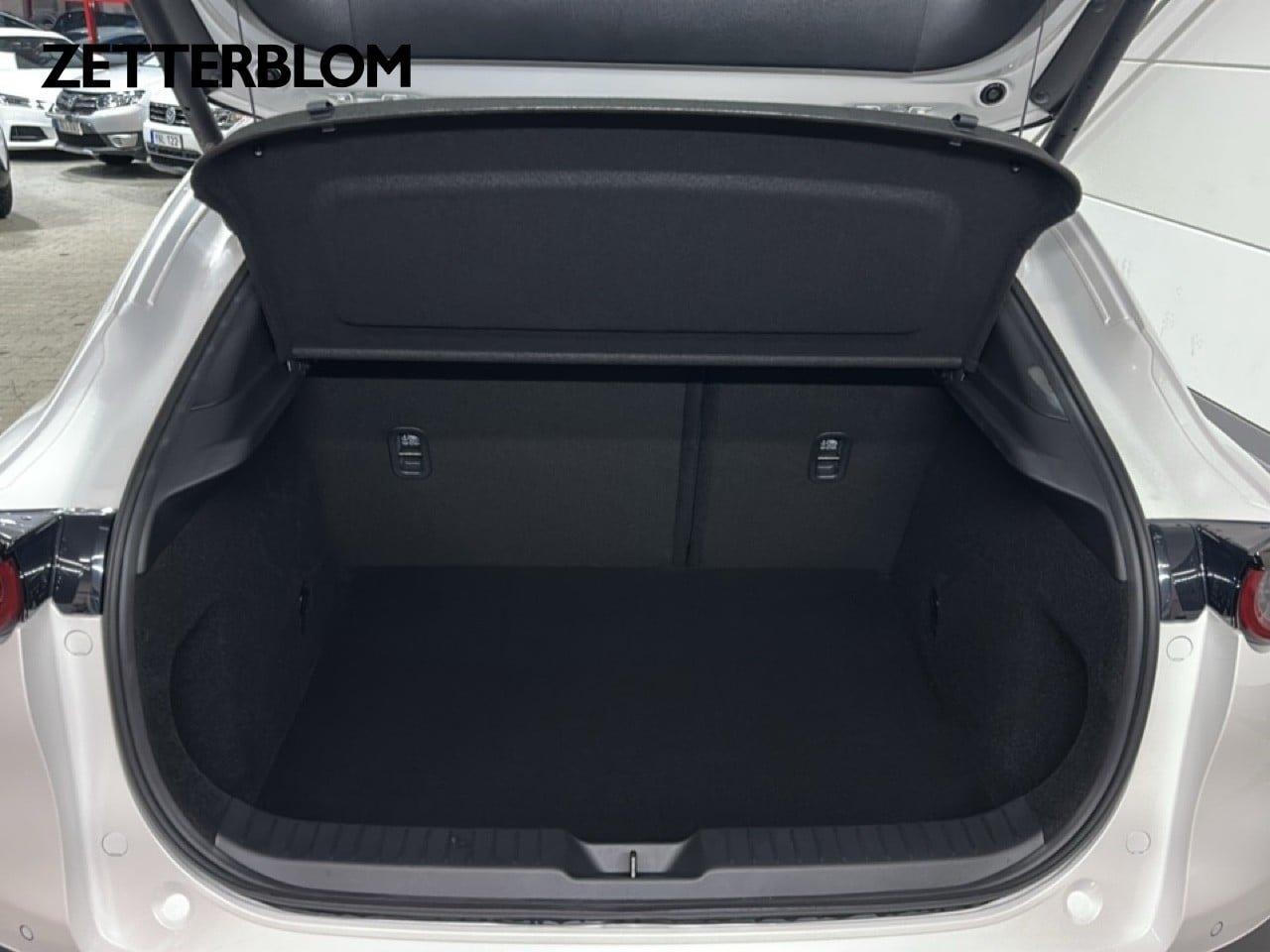 Mazda CX-30 140 hk Automat Homura 2025, bild 6/20