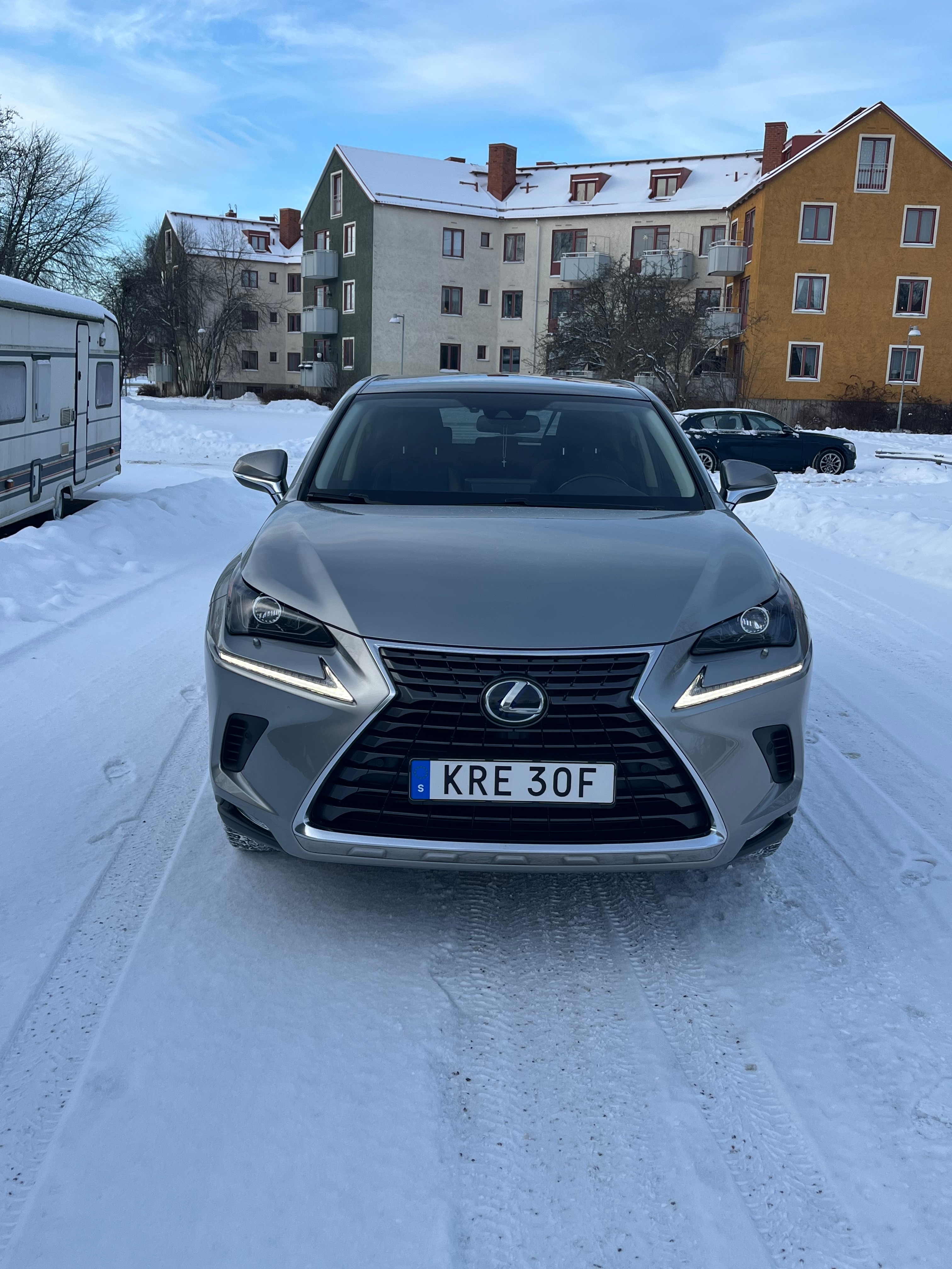 Lexus NX 300h AWD 2.5 AWD E-CVT 2019, photo 6/10