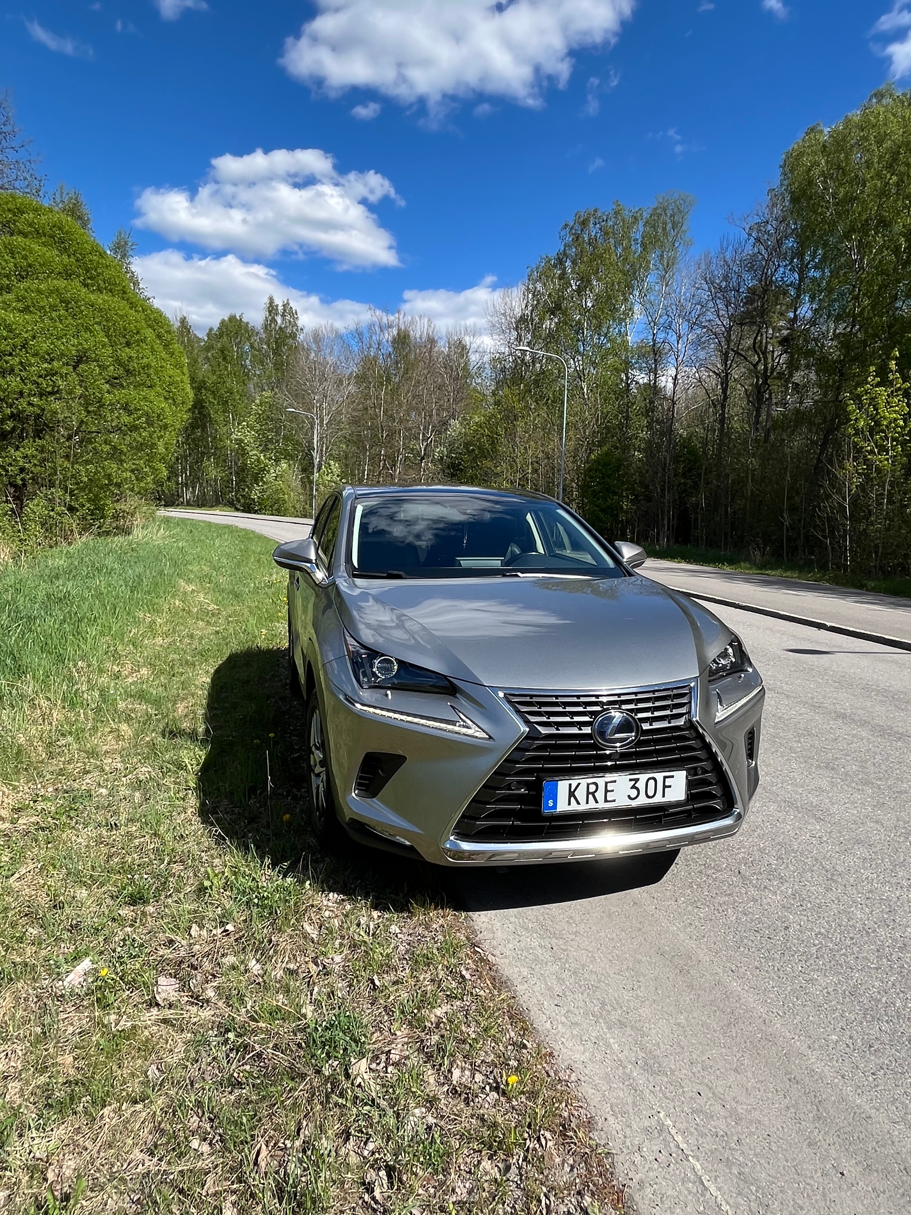 Lexus NX 300h AWD 2.5 AWD E-CVT 2019, photo 2/10