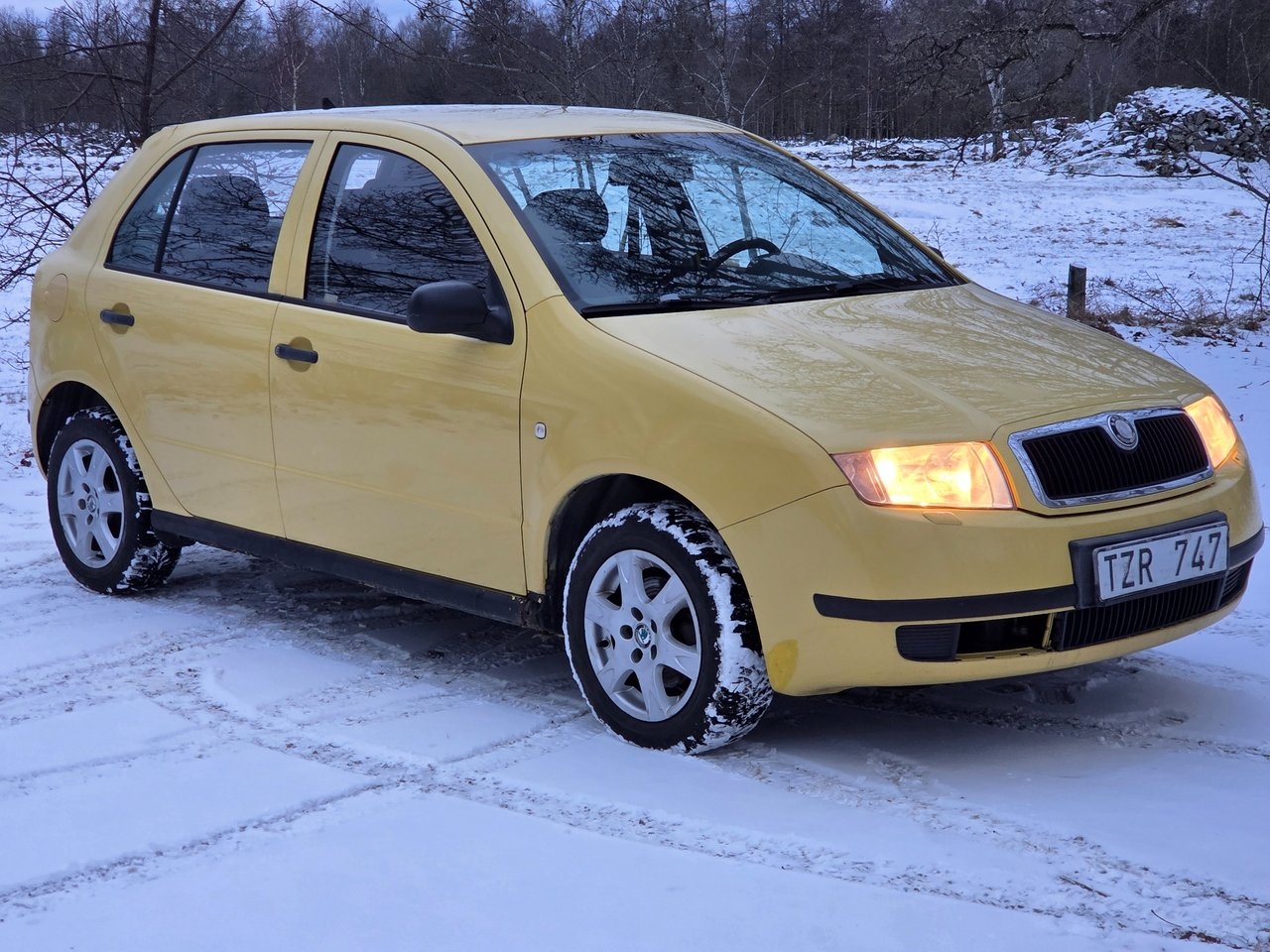 Skoda Fabia