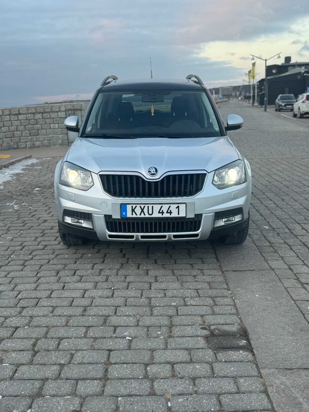 Skoda Yeti Outdoor 2.0 TDI DPF 4x4 DSG 2016, bild 4/9