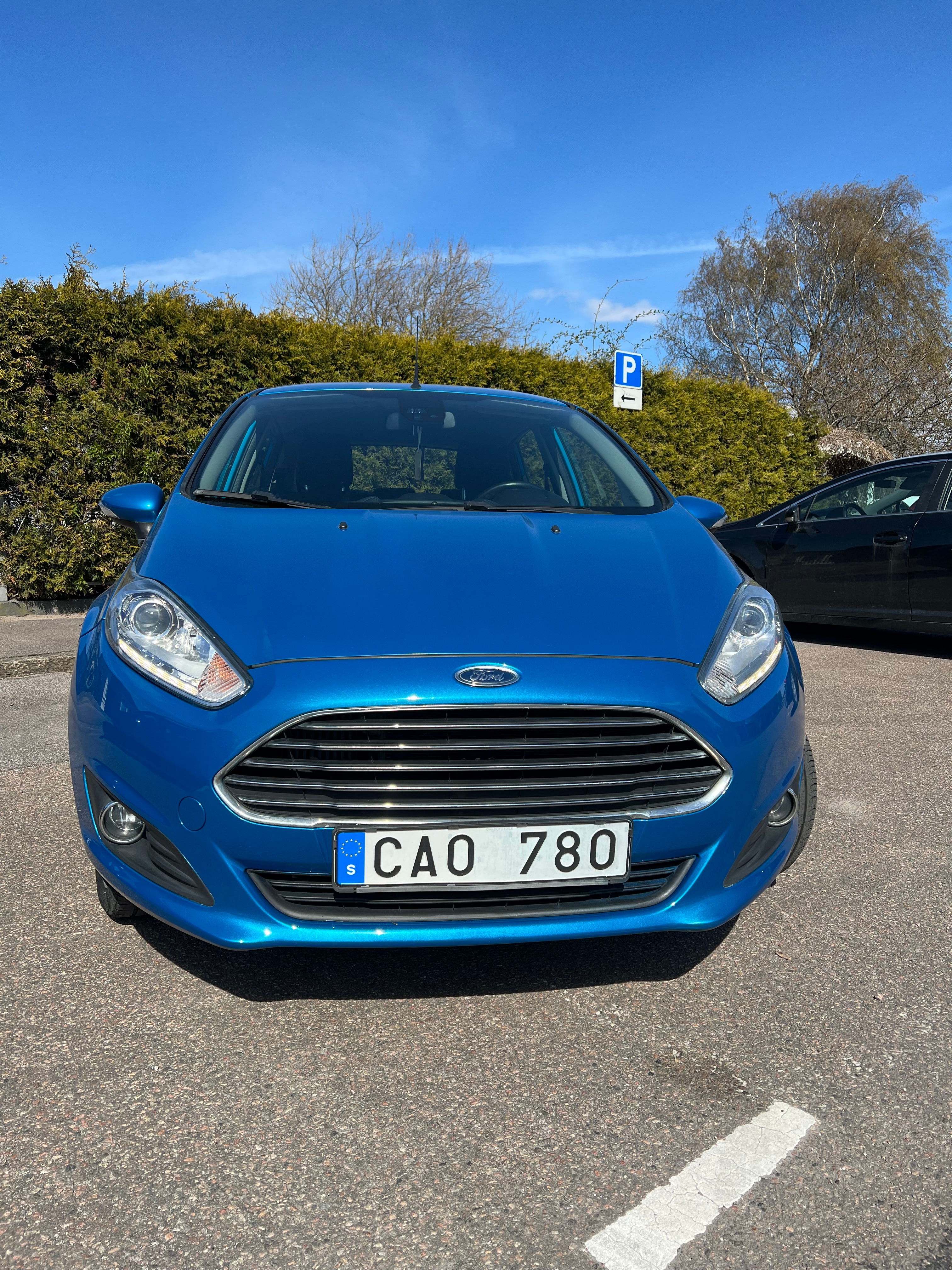 Ford Fiesta 2013, bild 2/7