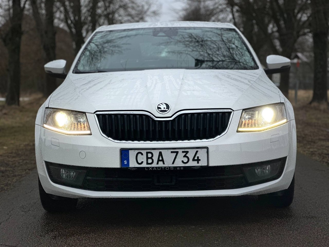Skoda Octavia 2015, bild 2/10