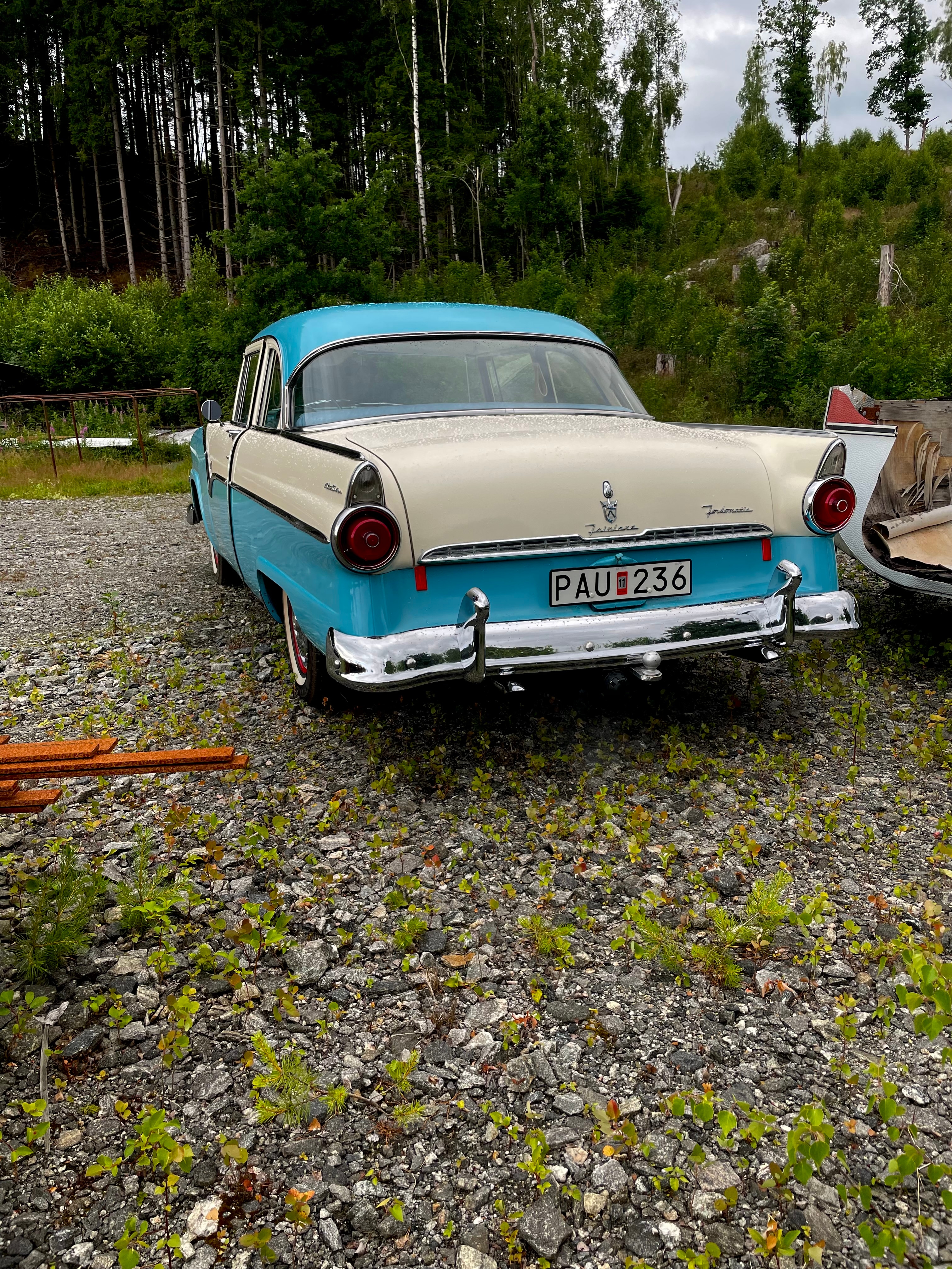 Ford Town Sedan 1955, bild 5/5