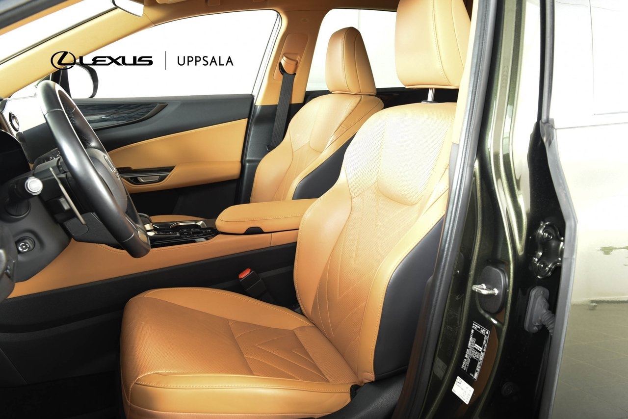 Lexus NX 2024, photo 6/10
