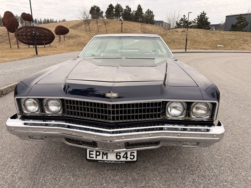 Chevrolet Caprice 1973, bild 6/9