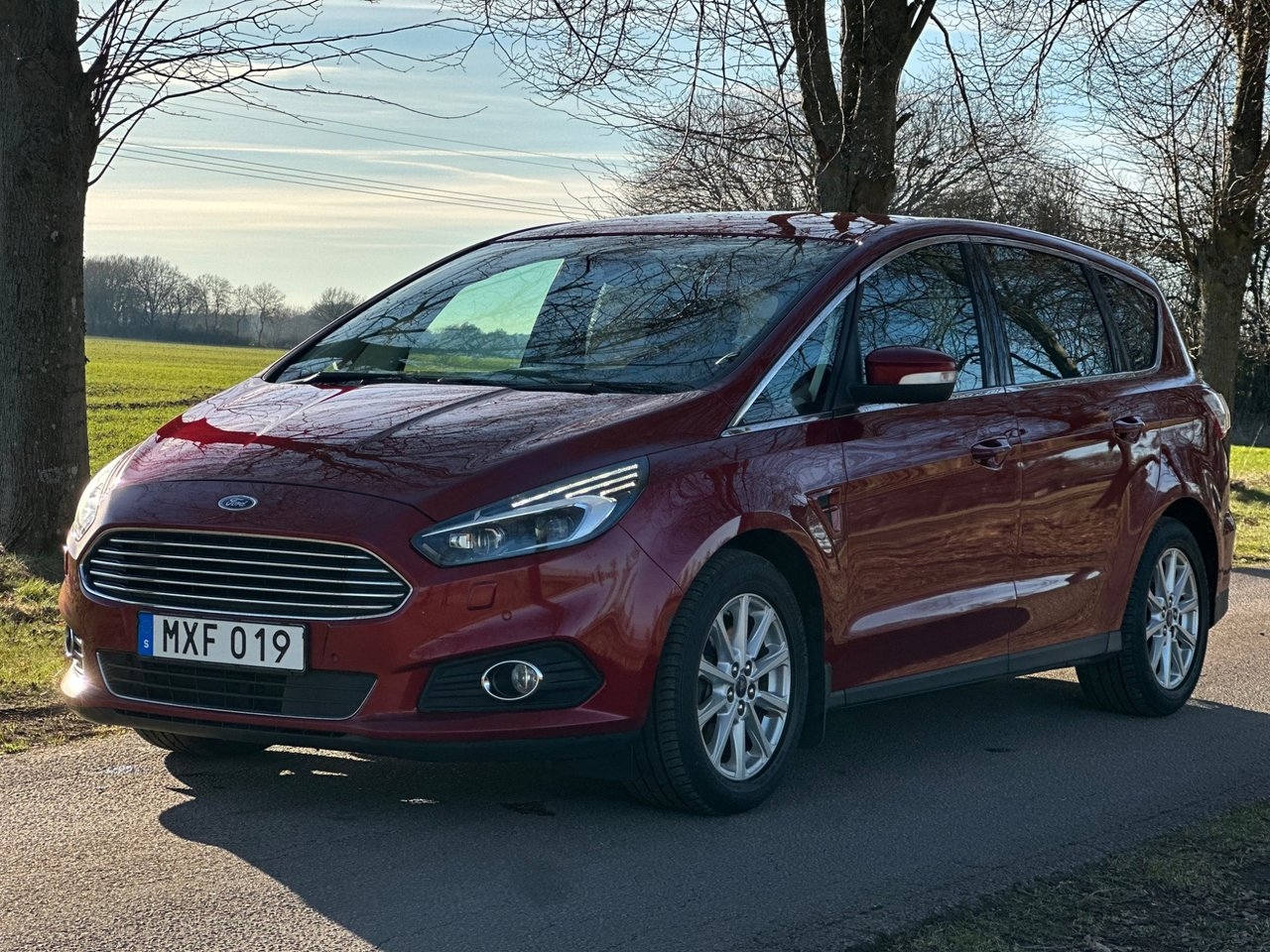 Ford S-MAX 2016, bild 2/10
