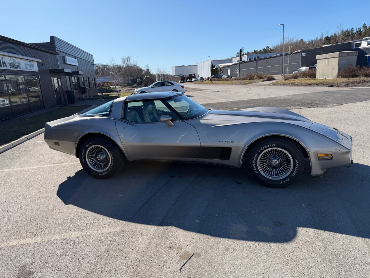 Chevrolet Corvette 1982, photo 4/18