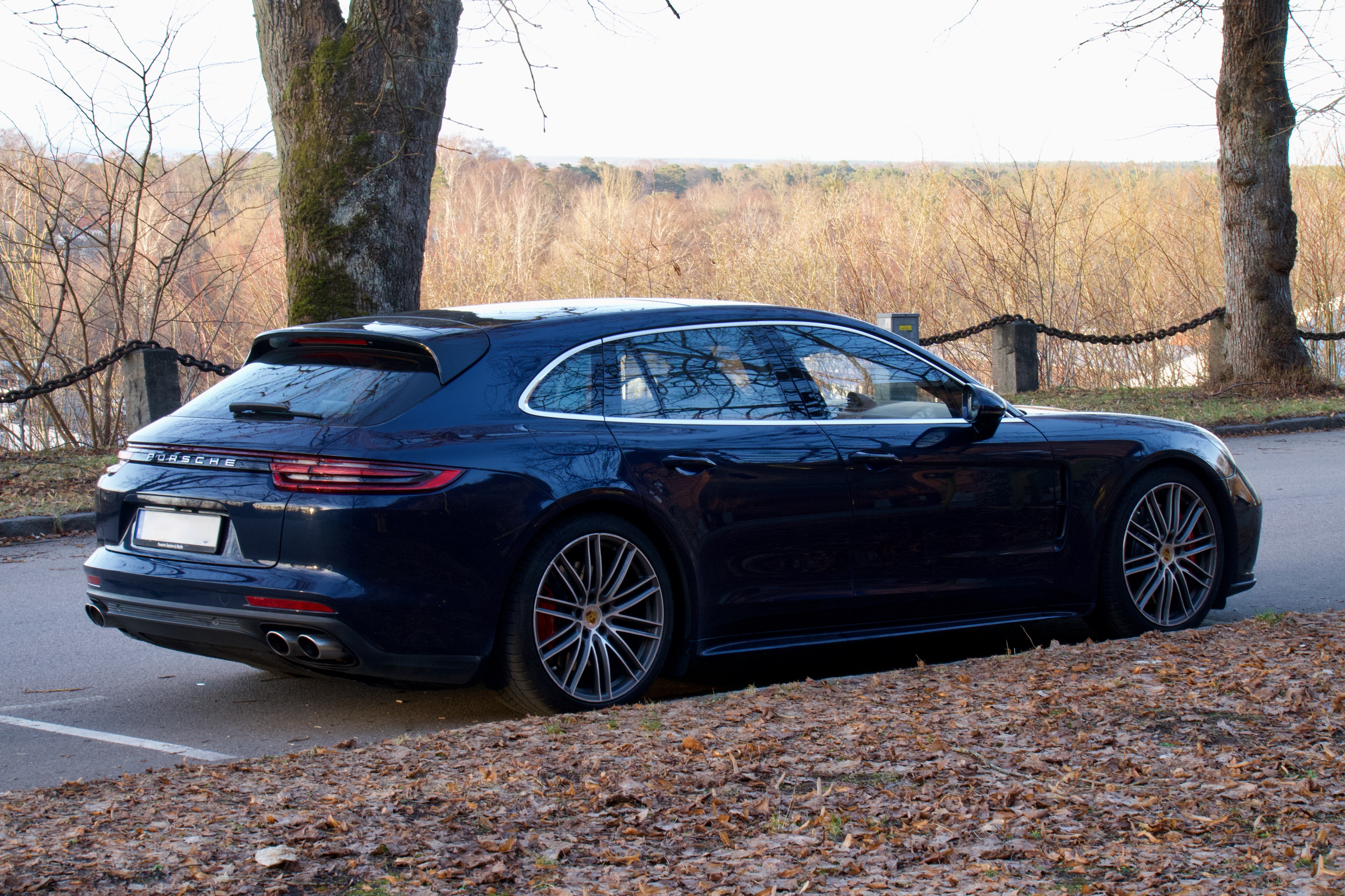 Porsche Panamera 2018, bild 2/10