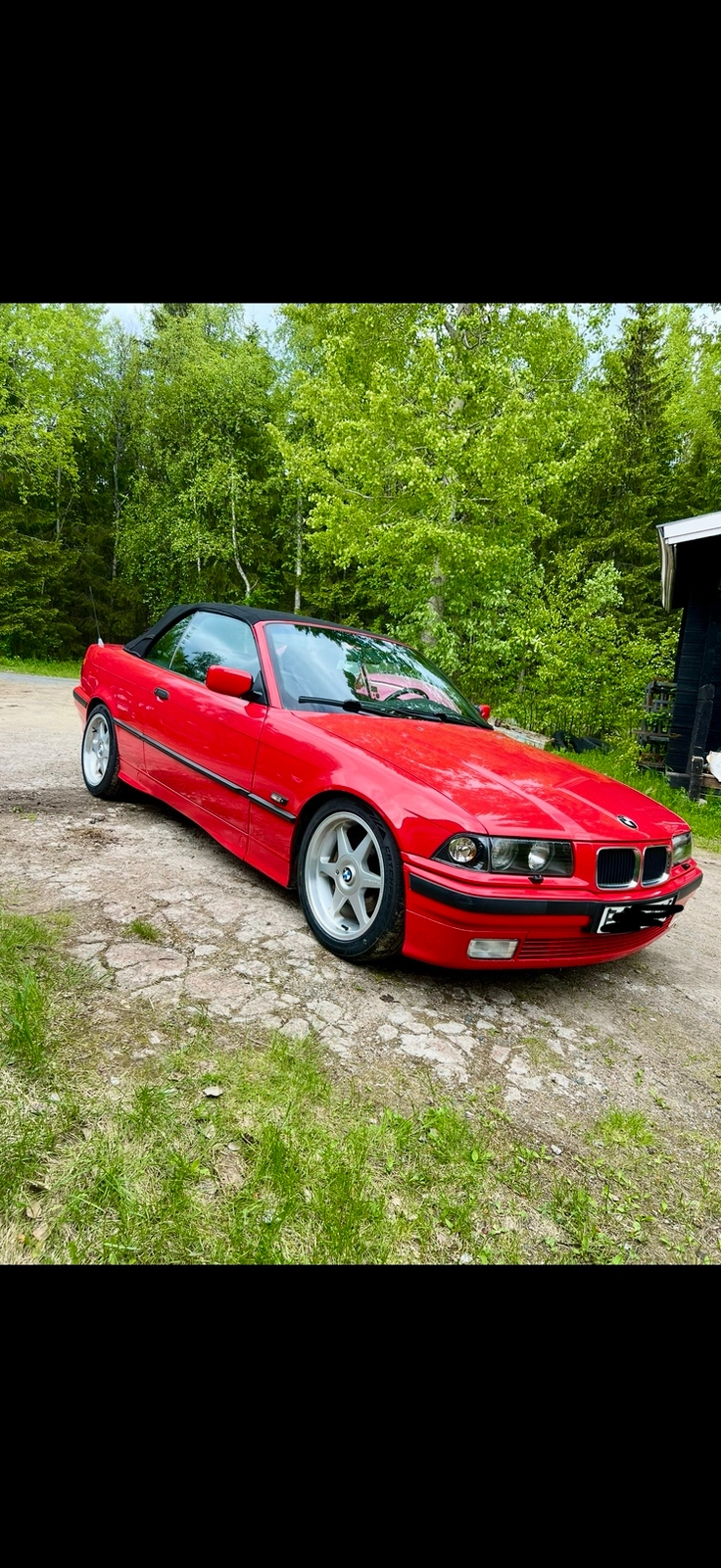 BMW 323