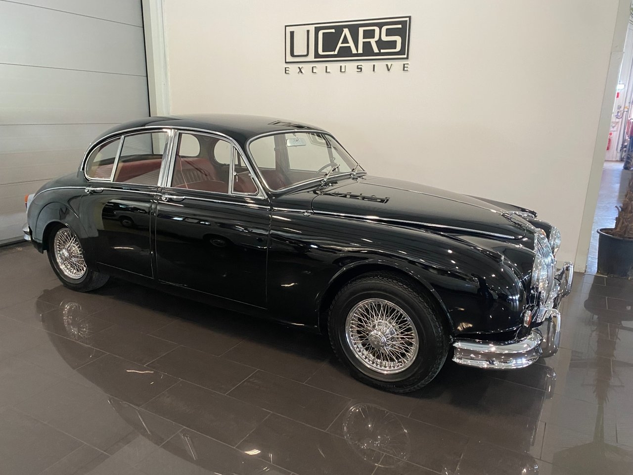 Jaguar Mark