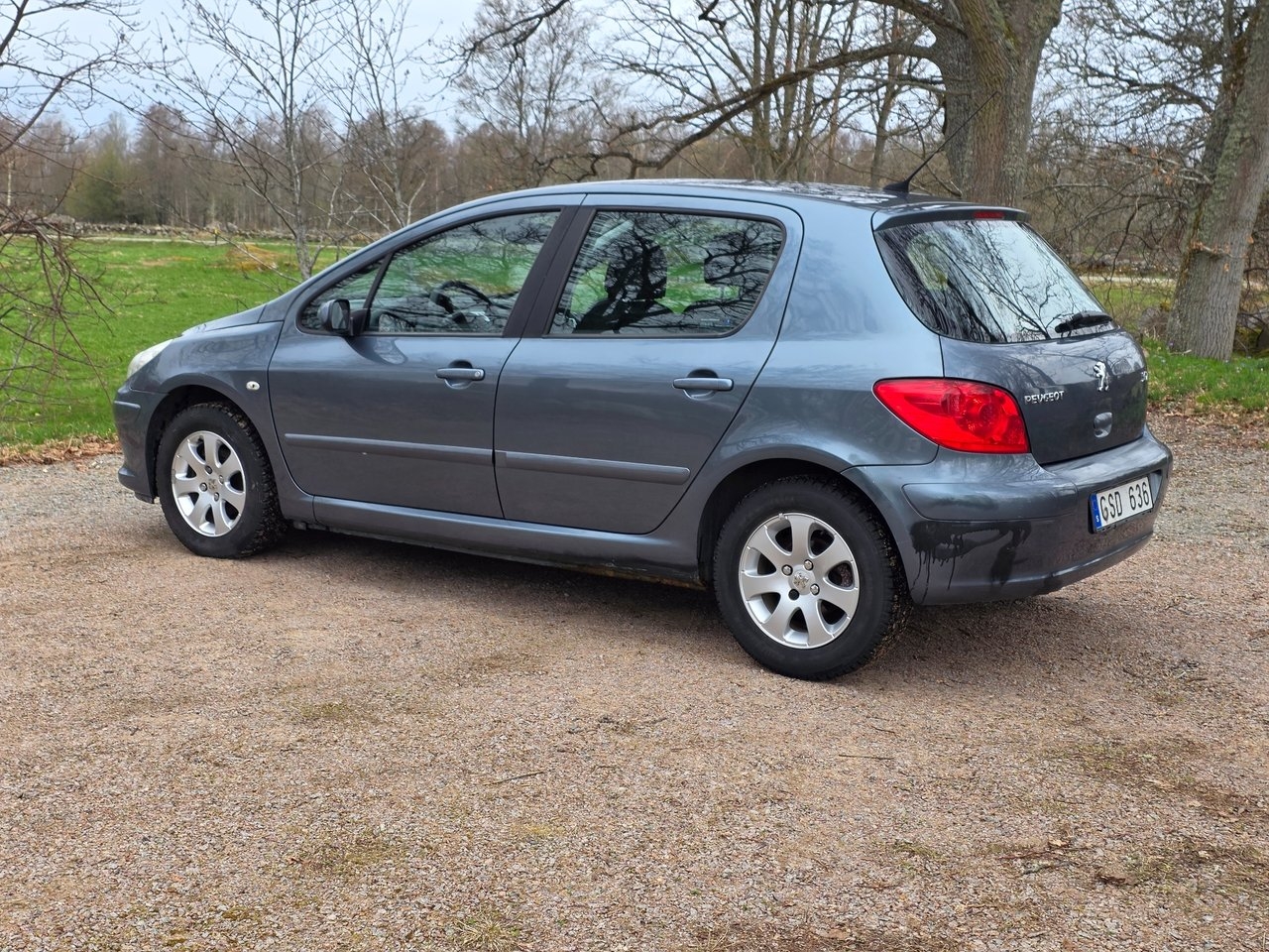 Peugeot 307 5-dörrar 1.6 Bioflex 109 hk 2008, photo 4/9