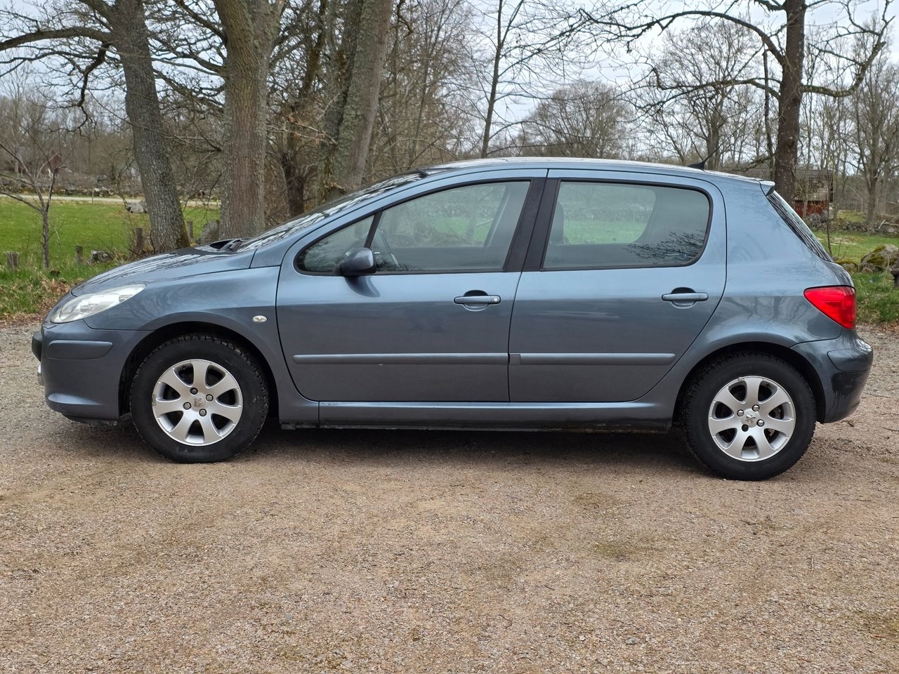 Peugeot 307 5-dörrar 1.6 Bioflex 109 hk 2008, photo 5/9
