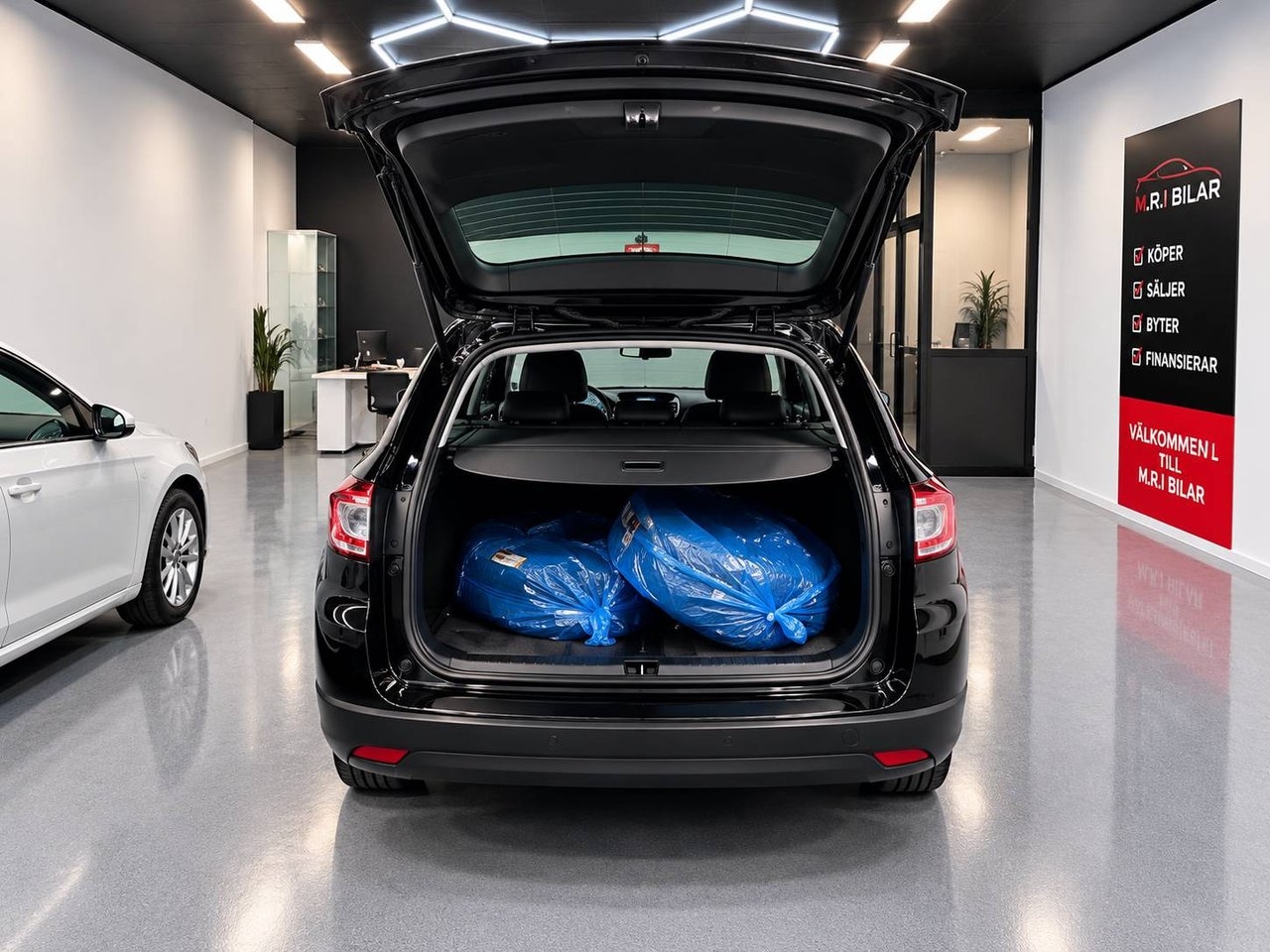Renault Megane 2015, photo 7/15