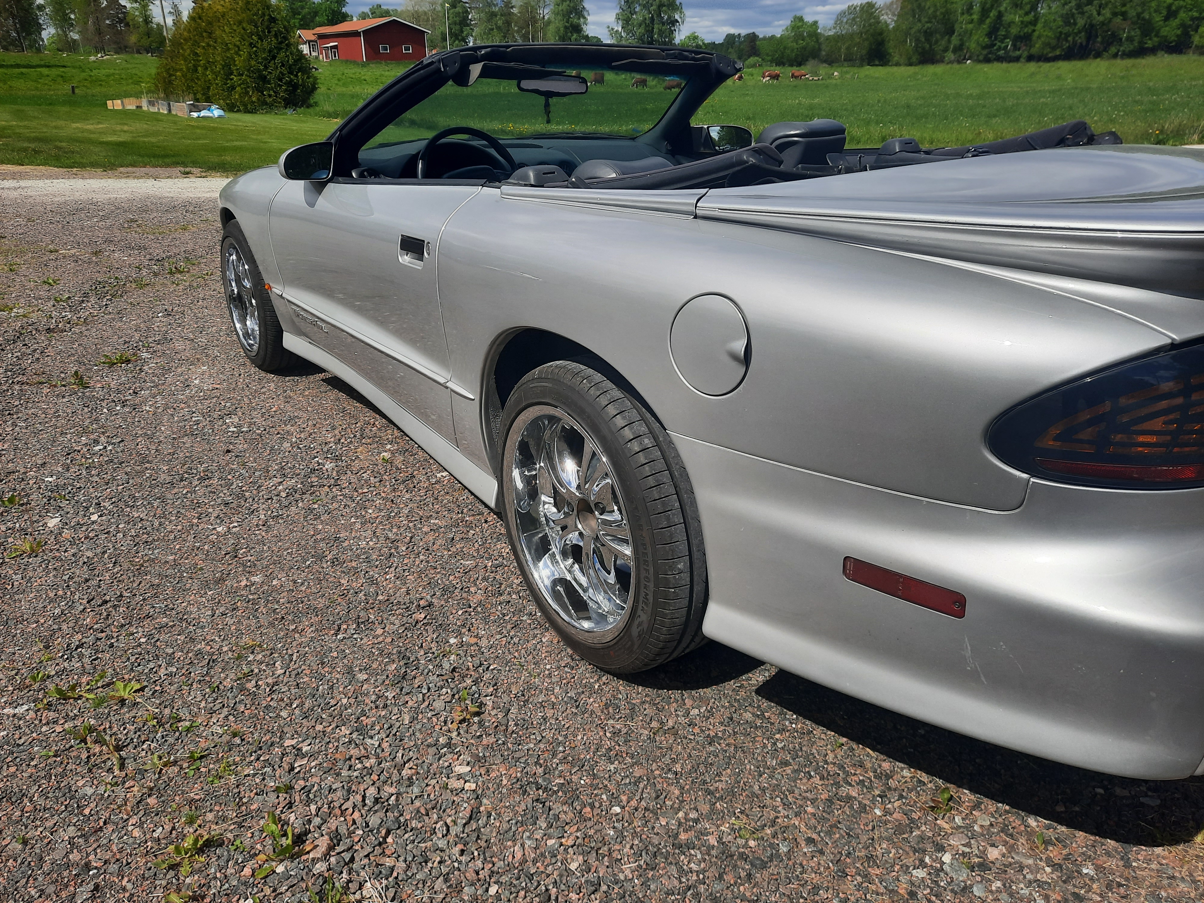 Pontiac Trans Am 1995, bild 4/10