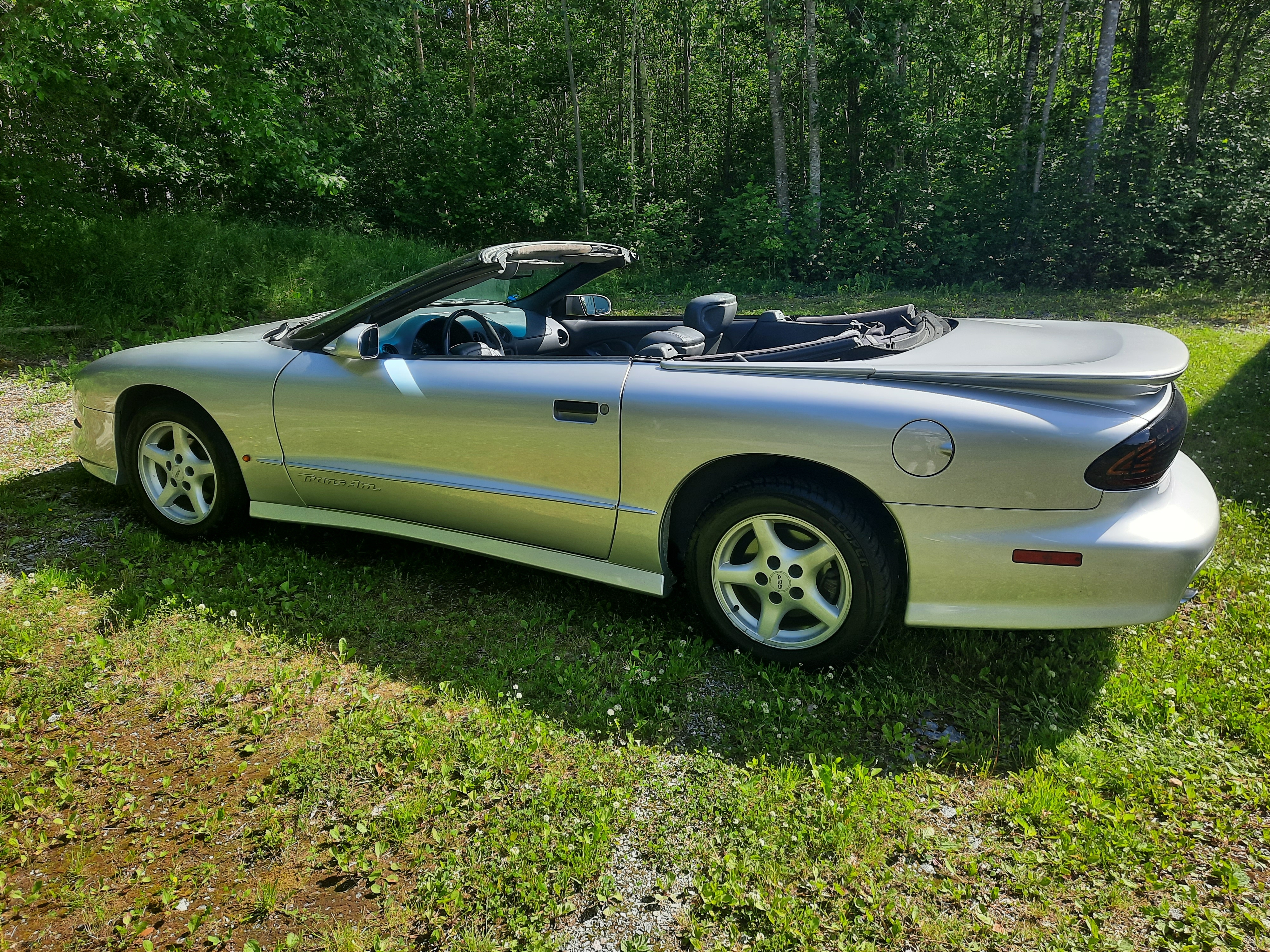 Pontiac Trans Am 1995, bild 7/10