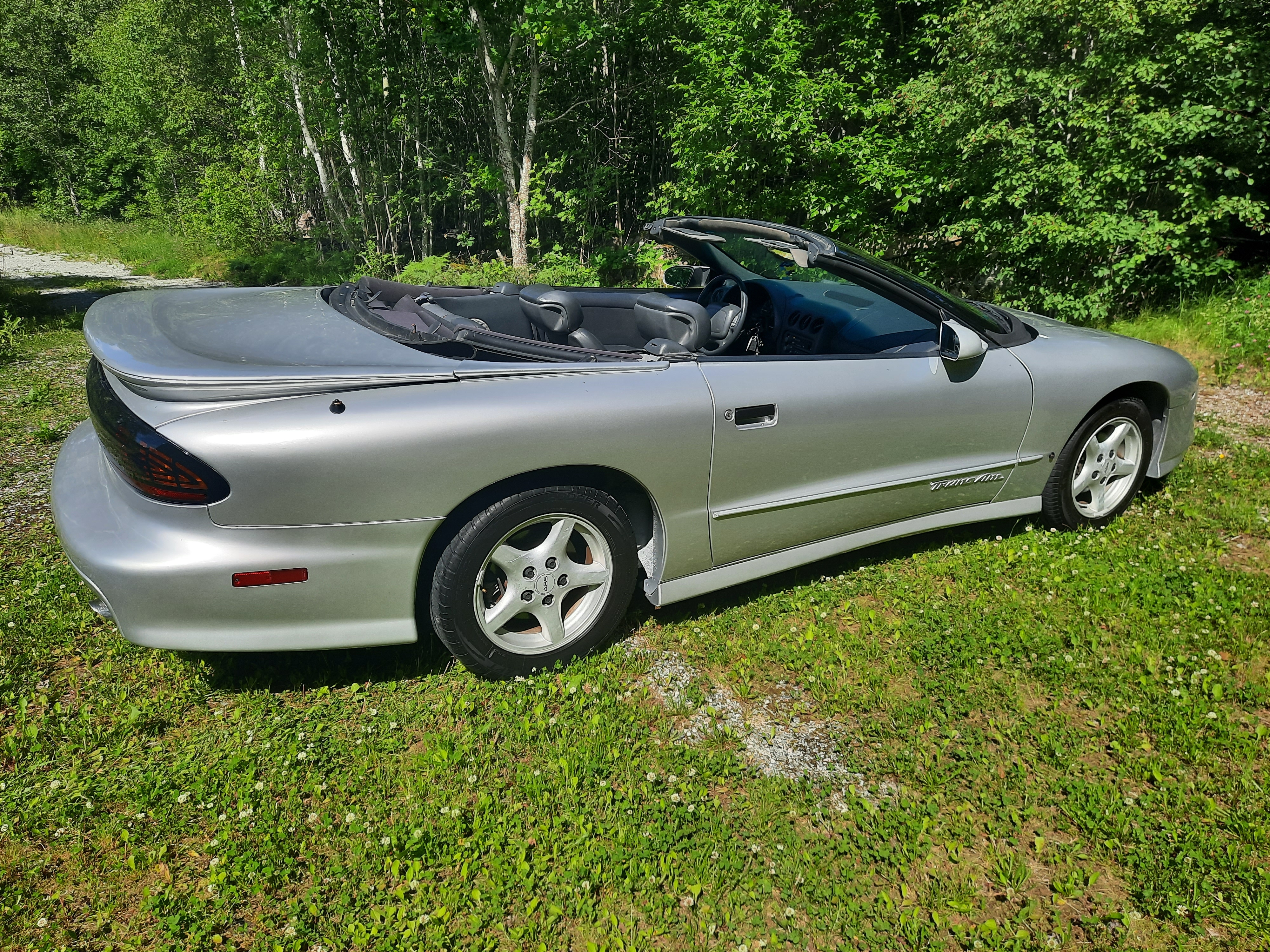 Pontiac Trans Am 1995, bild 6/10