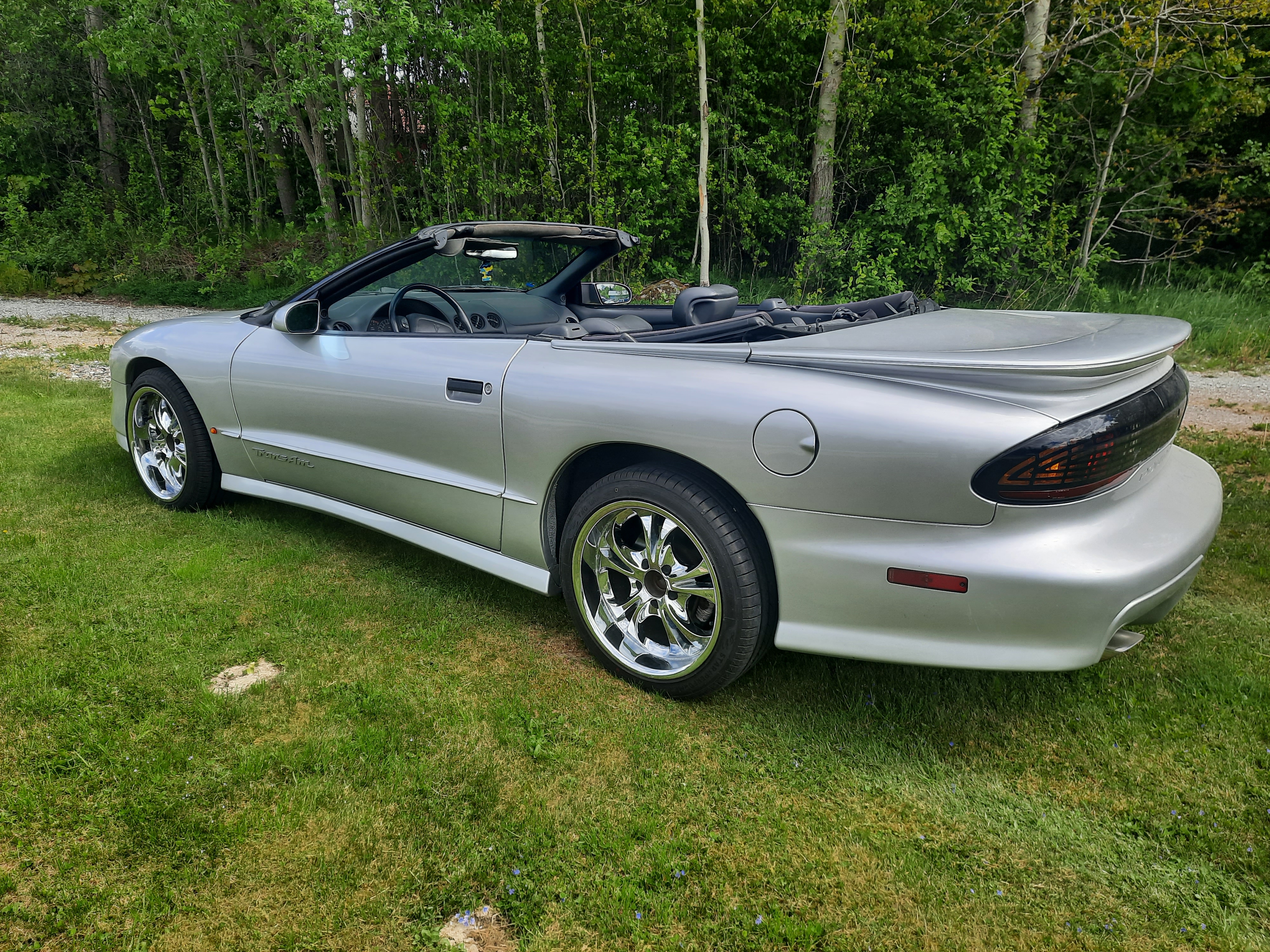 Pontiac Trans Am 1995, bild 3/10
