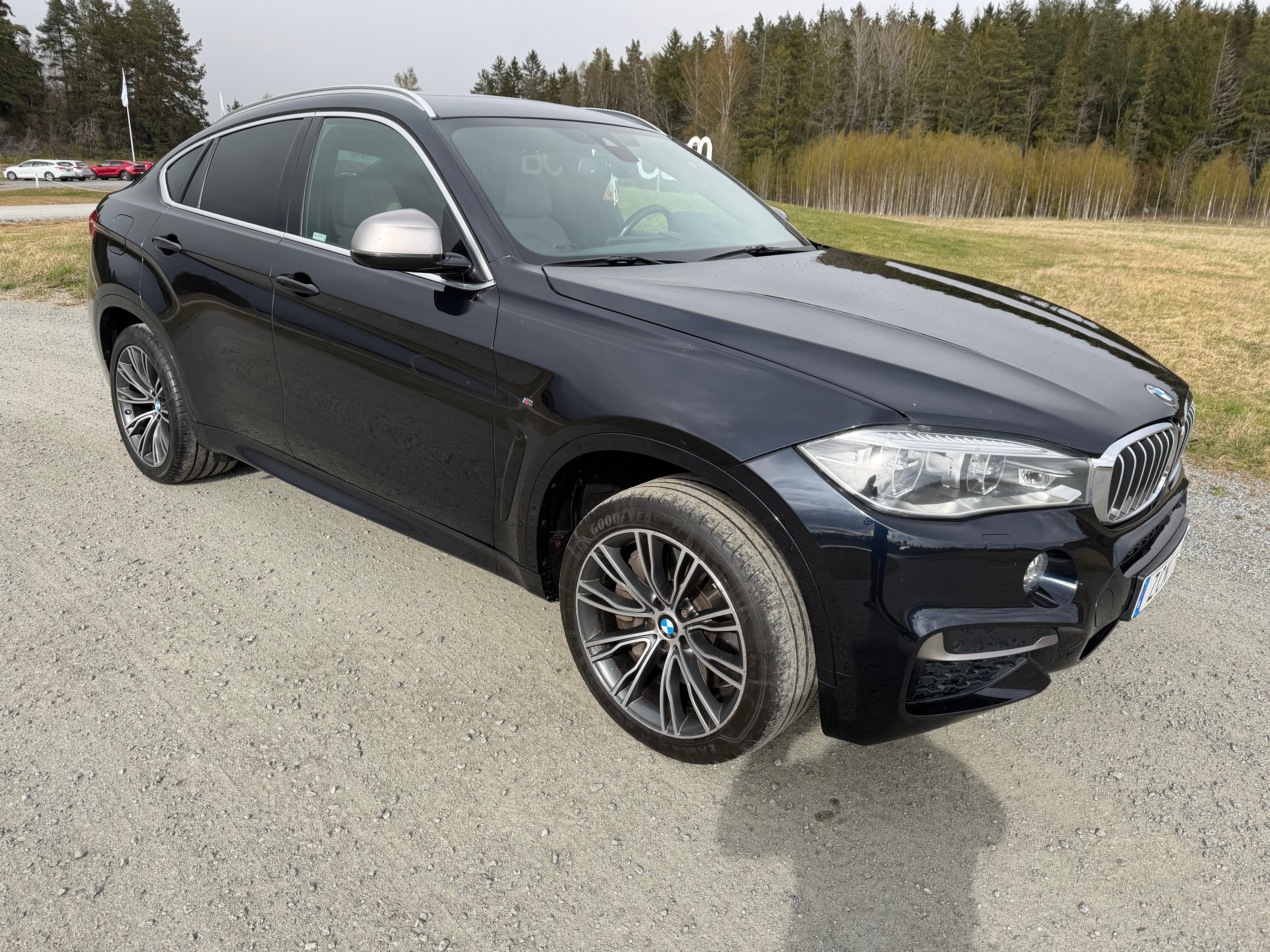 BMW X6 M50d Steptronic 2018, bild 2/10