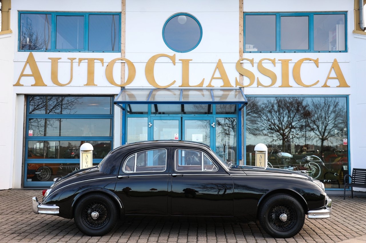 Jaguar Mark