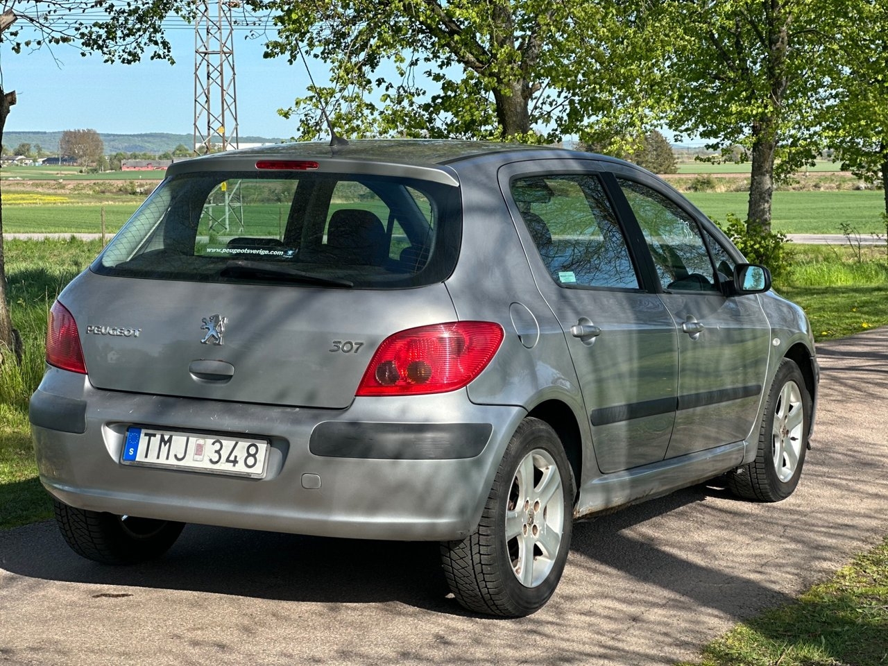 Peugeot 307 2002, bild 3/10