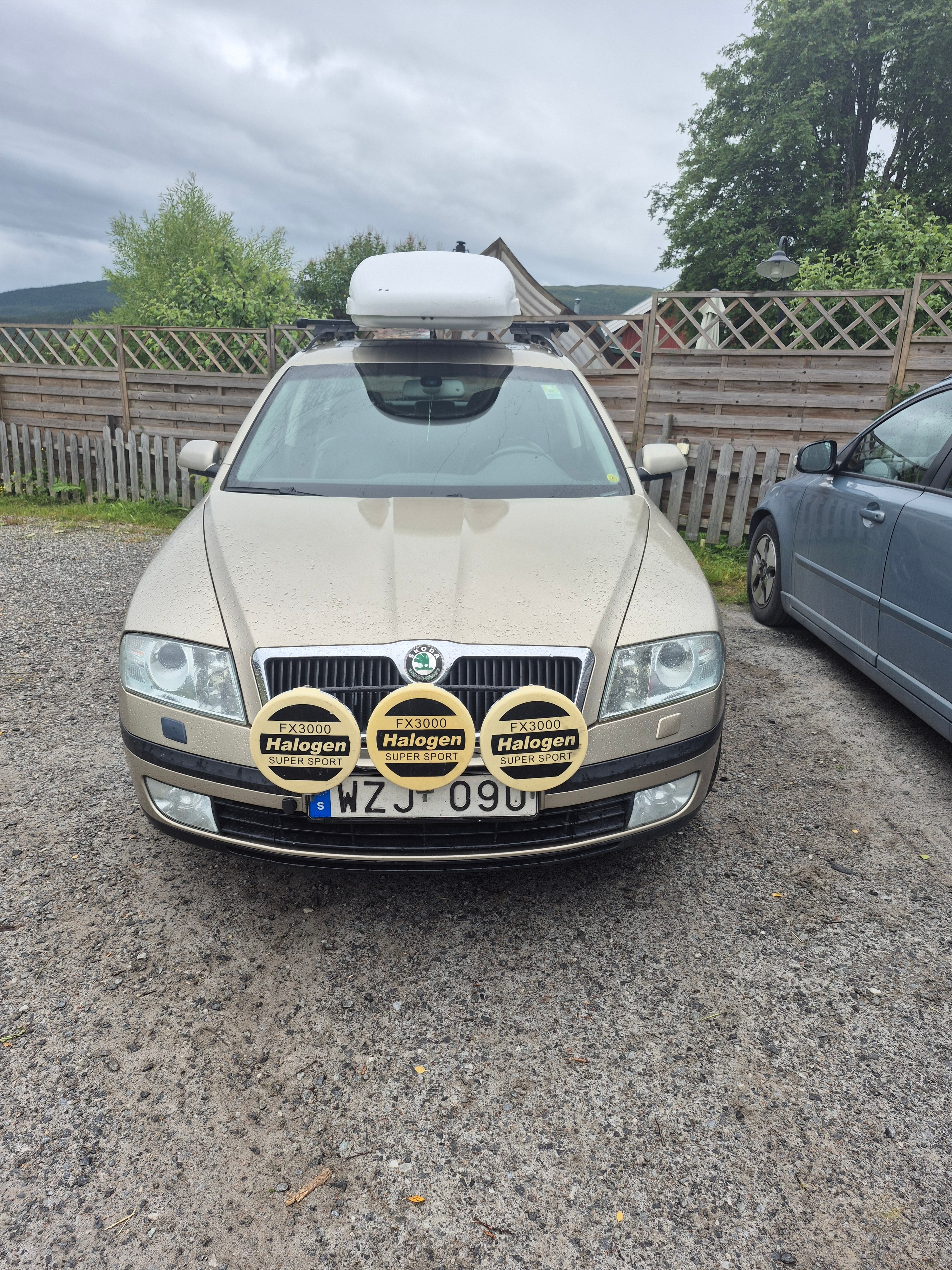 Skoda Octavia Kombi 2.0 FSI 4x4 Manuell 2006, kuva 2/8