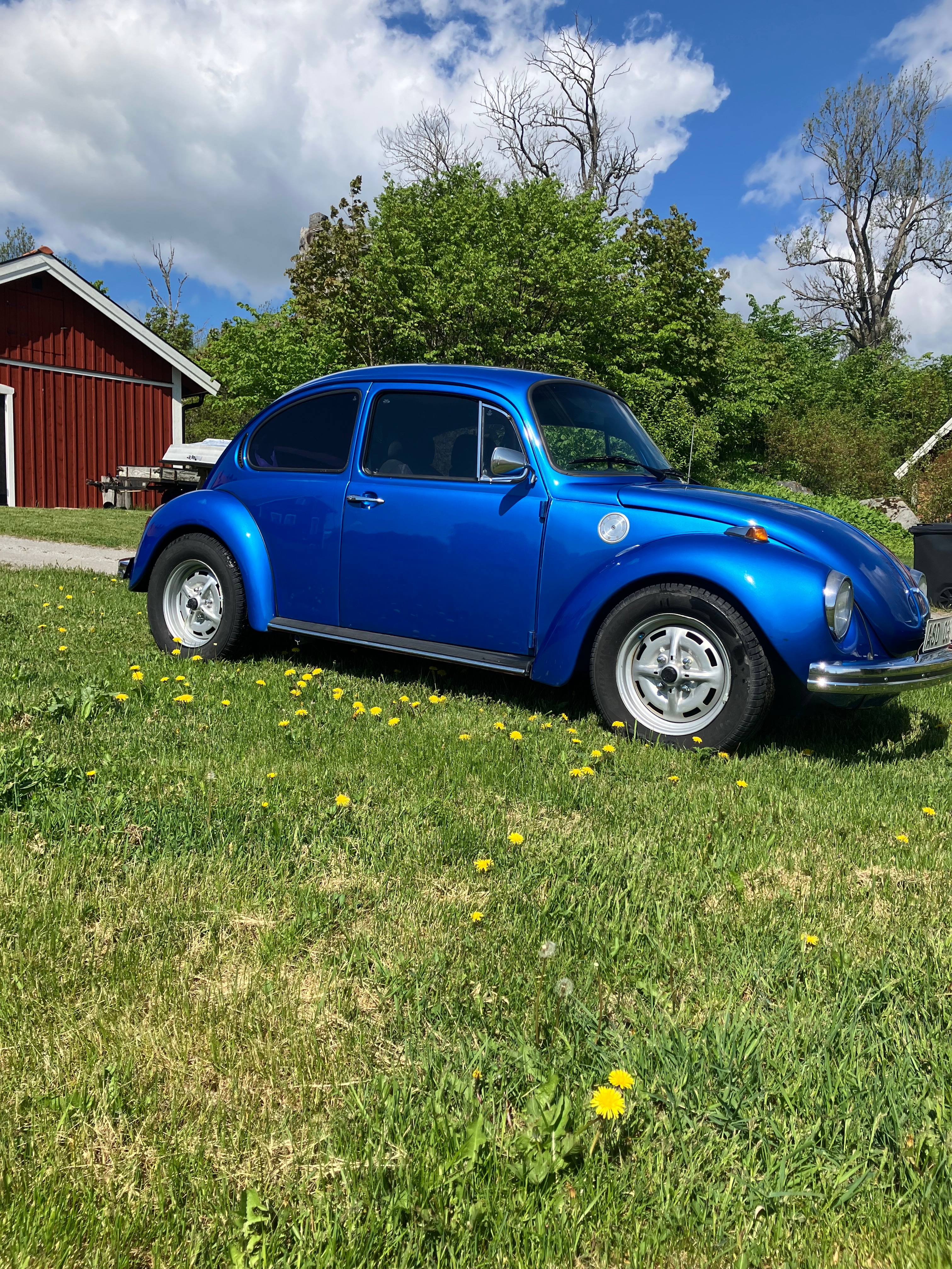 Volkswagen 1303
