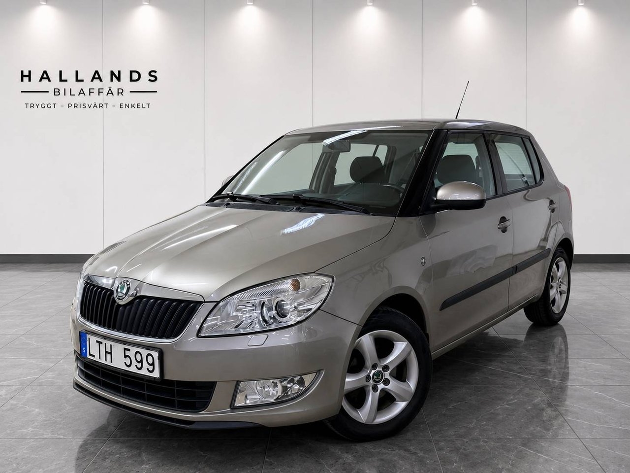 Skoda Fabia 2012, bild 7/10