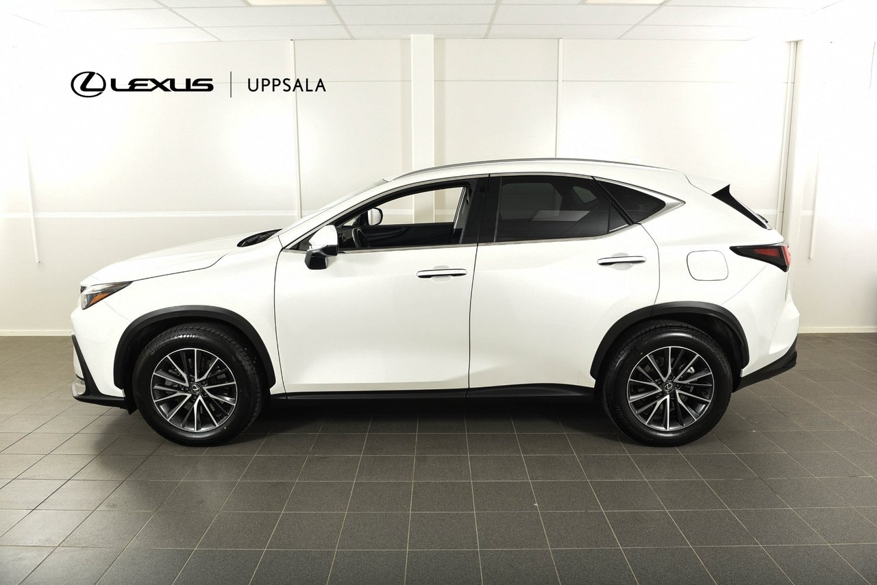 Lexus NX 450h+ Business Plus Plug-In 2024, kuva 2/21