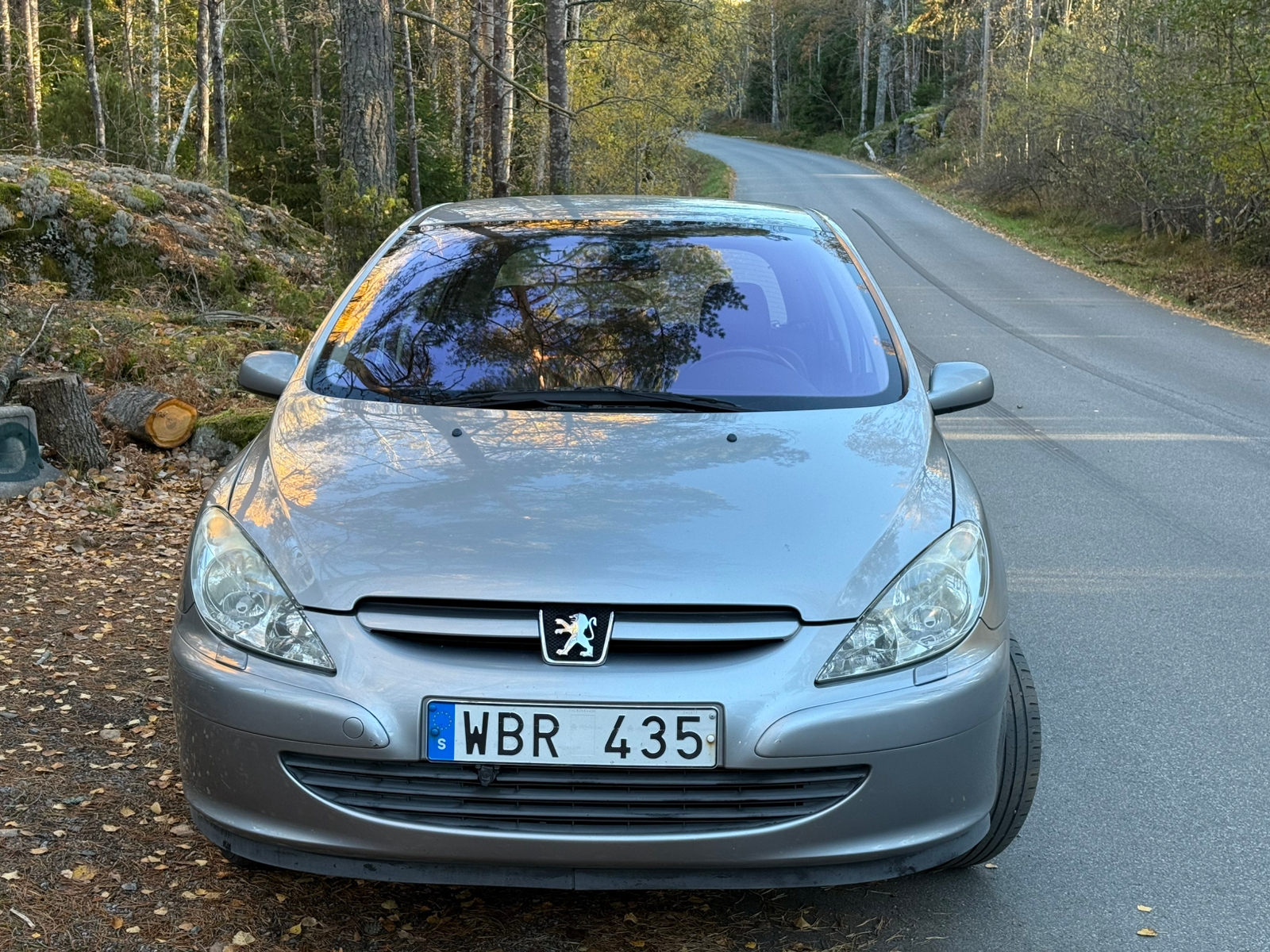 Peugeot 307 5-dörrar 2.0 Manuell 2004, bild 2/9