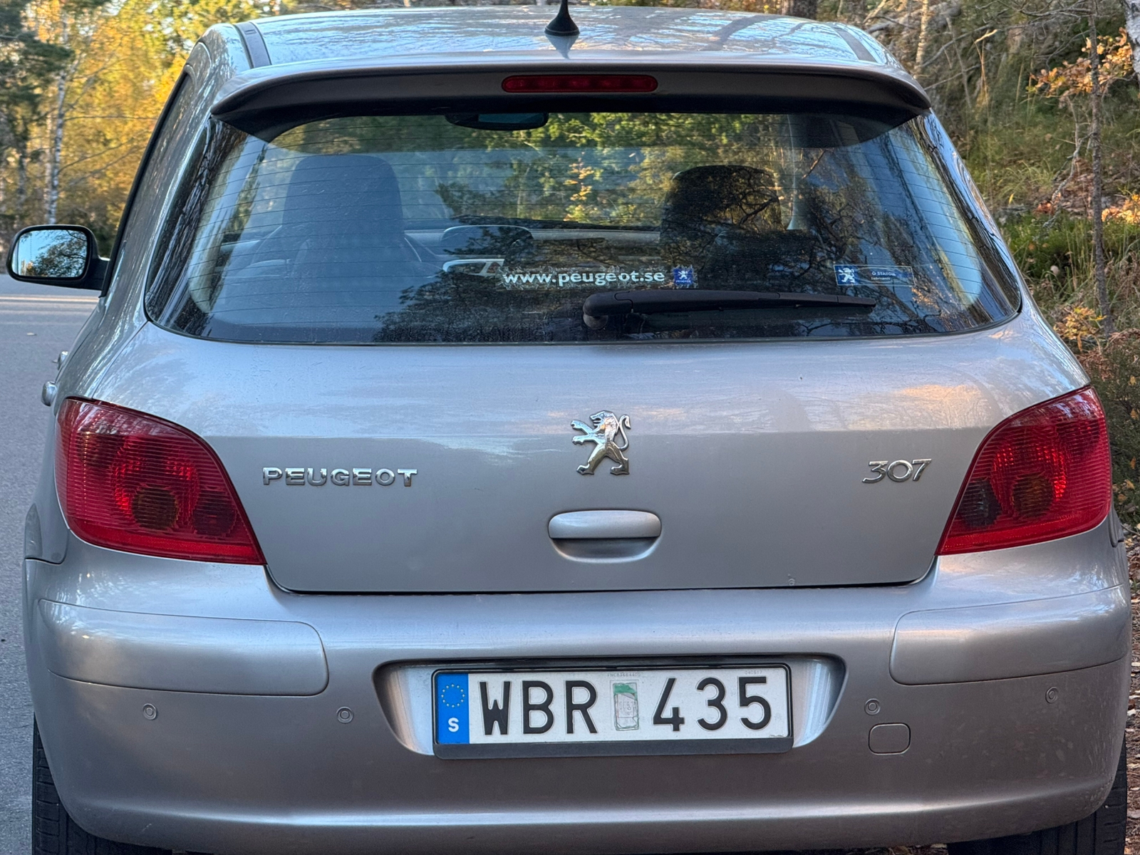 Peugeot 307 5-dörrar 2.0 Manuell 2004, bild 3/9