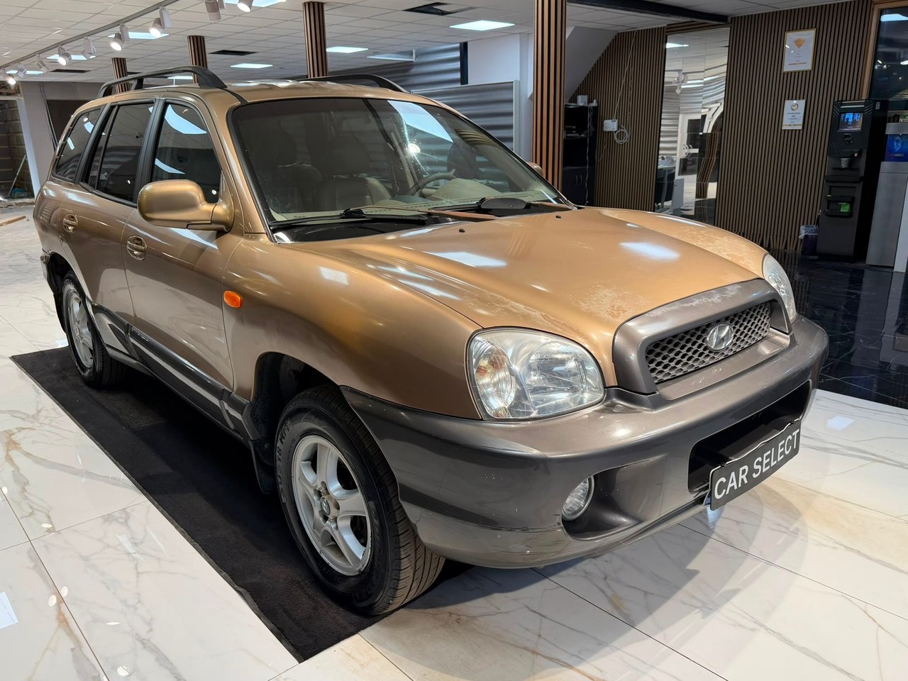 Hyundai Santa Fe 2004, bild 7/10