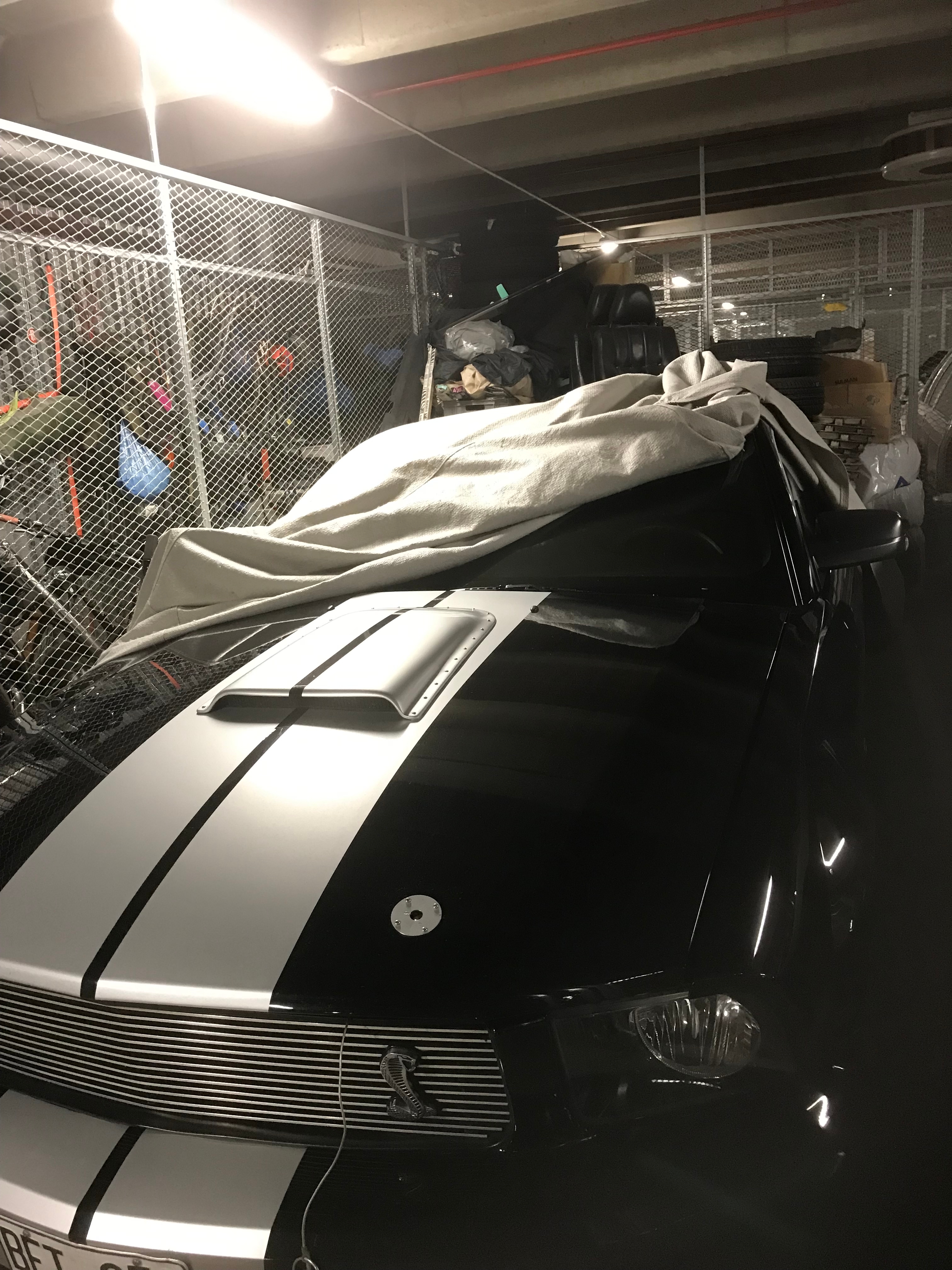 Ford Mustang Shelby GT, manuell 2007, bild 6/10