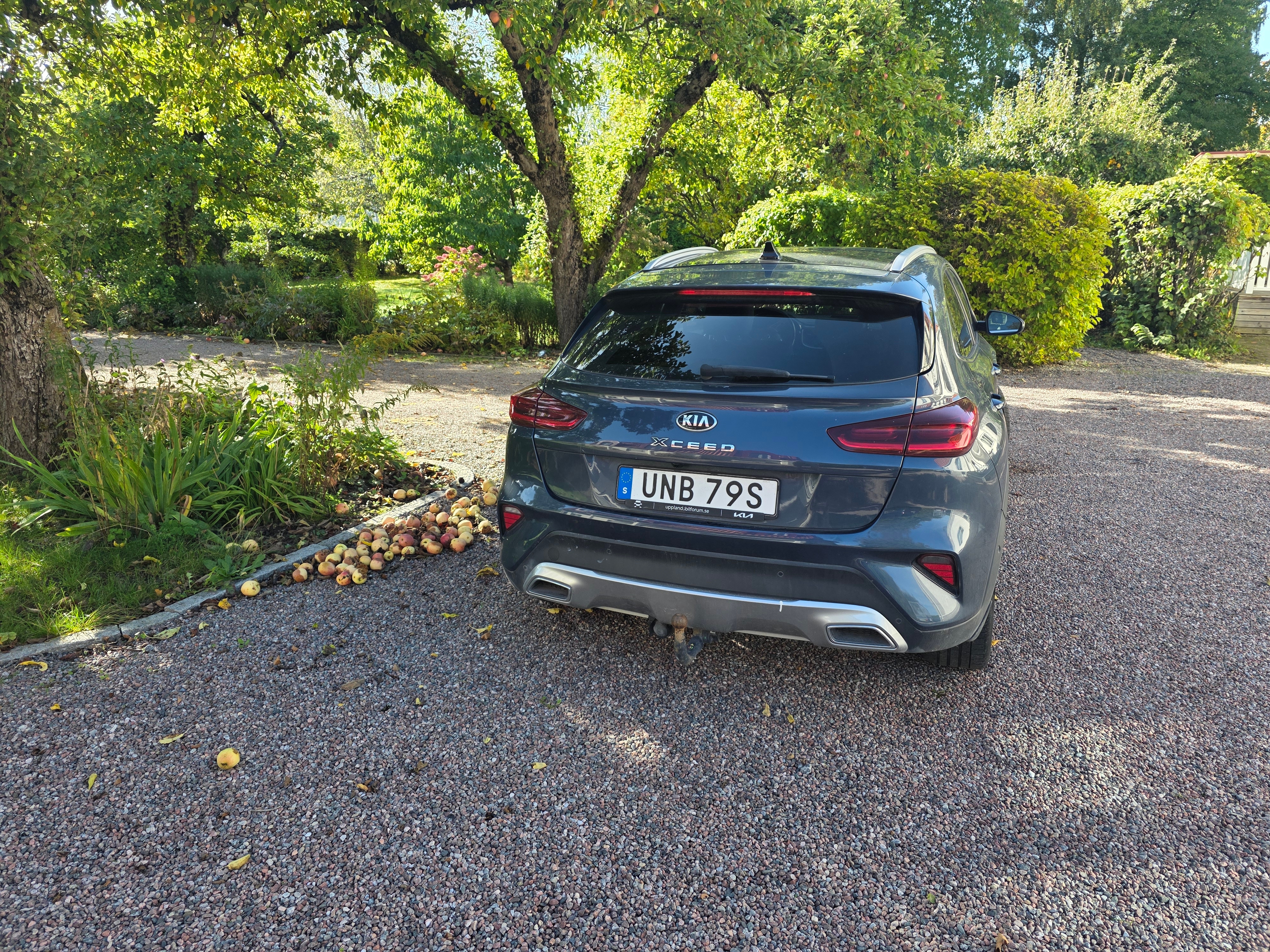 Kia XCeed Plug-in Hybrid DCT 2020, bild 5/6