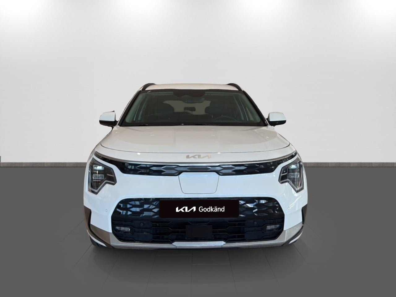 Kia Niro EV ADVANCE PLUS 2024, photo 2/20