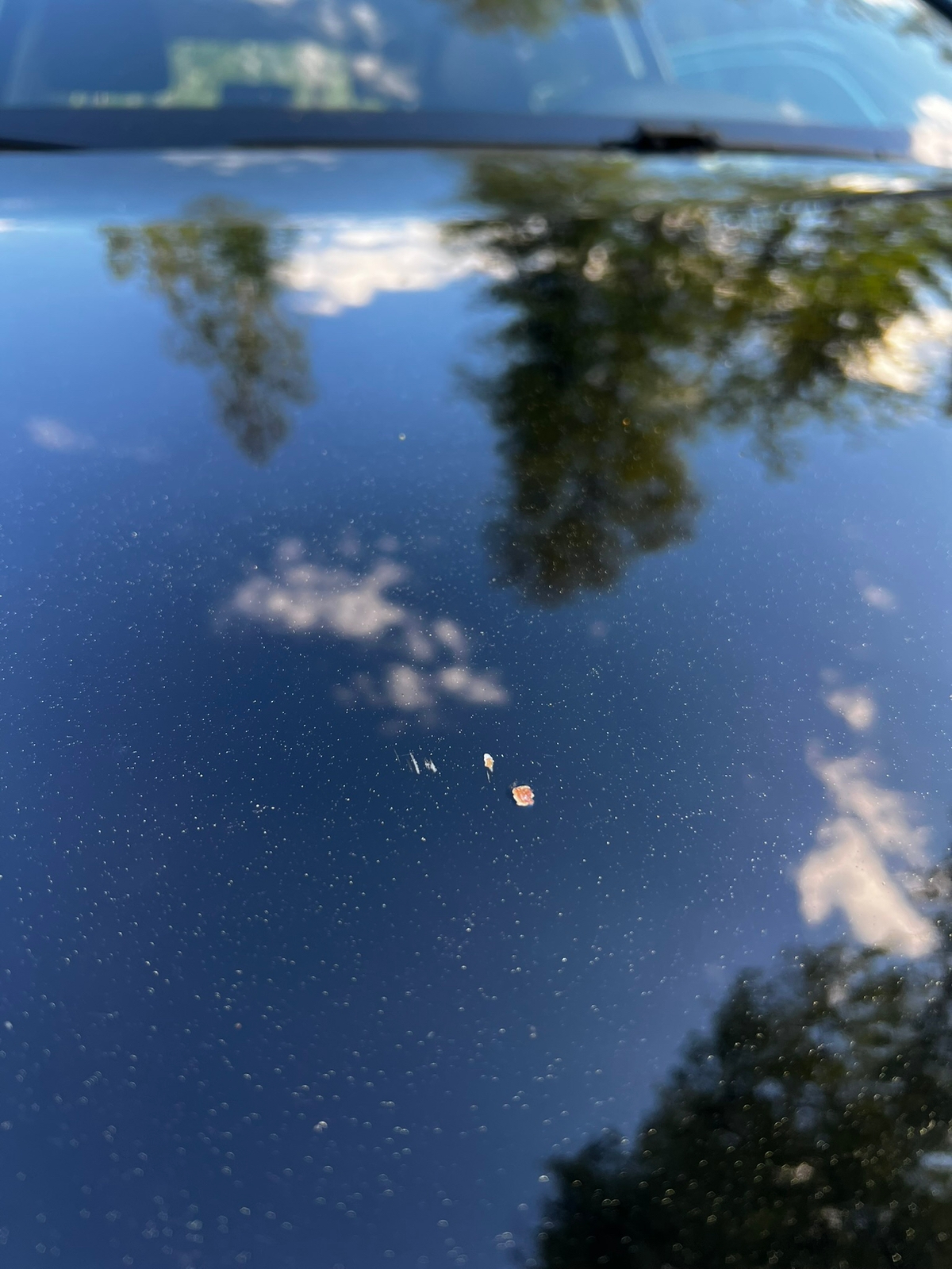 Volkswagen Golf 2016, bild 6/10