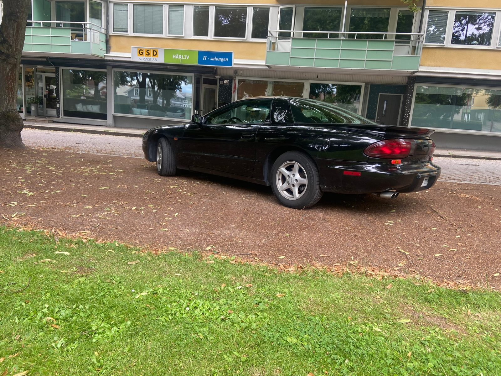 Pontiac Firebird 3.4 V6 Hydra-Matic 1993, bild 4/15