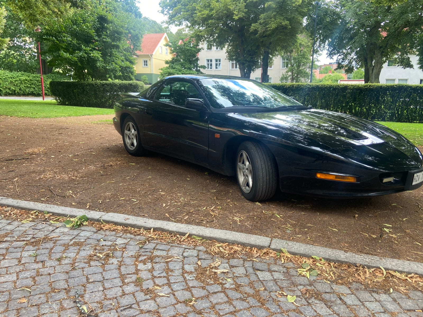 Pontiac Firebird 3.4 V6 Hydra-Matic 1993, bild 7/15