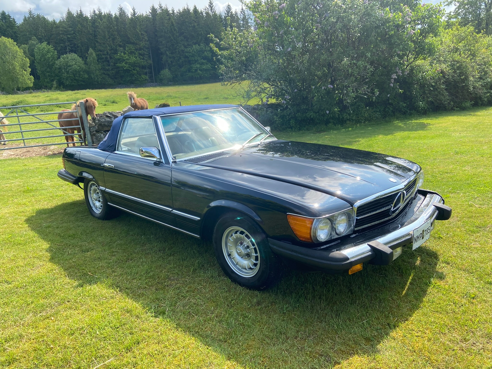 Mercedes-Benz 450 SL Automatisk 1975, bild 2/8