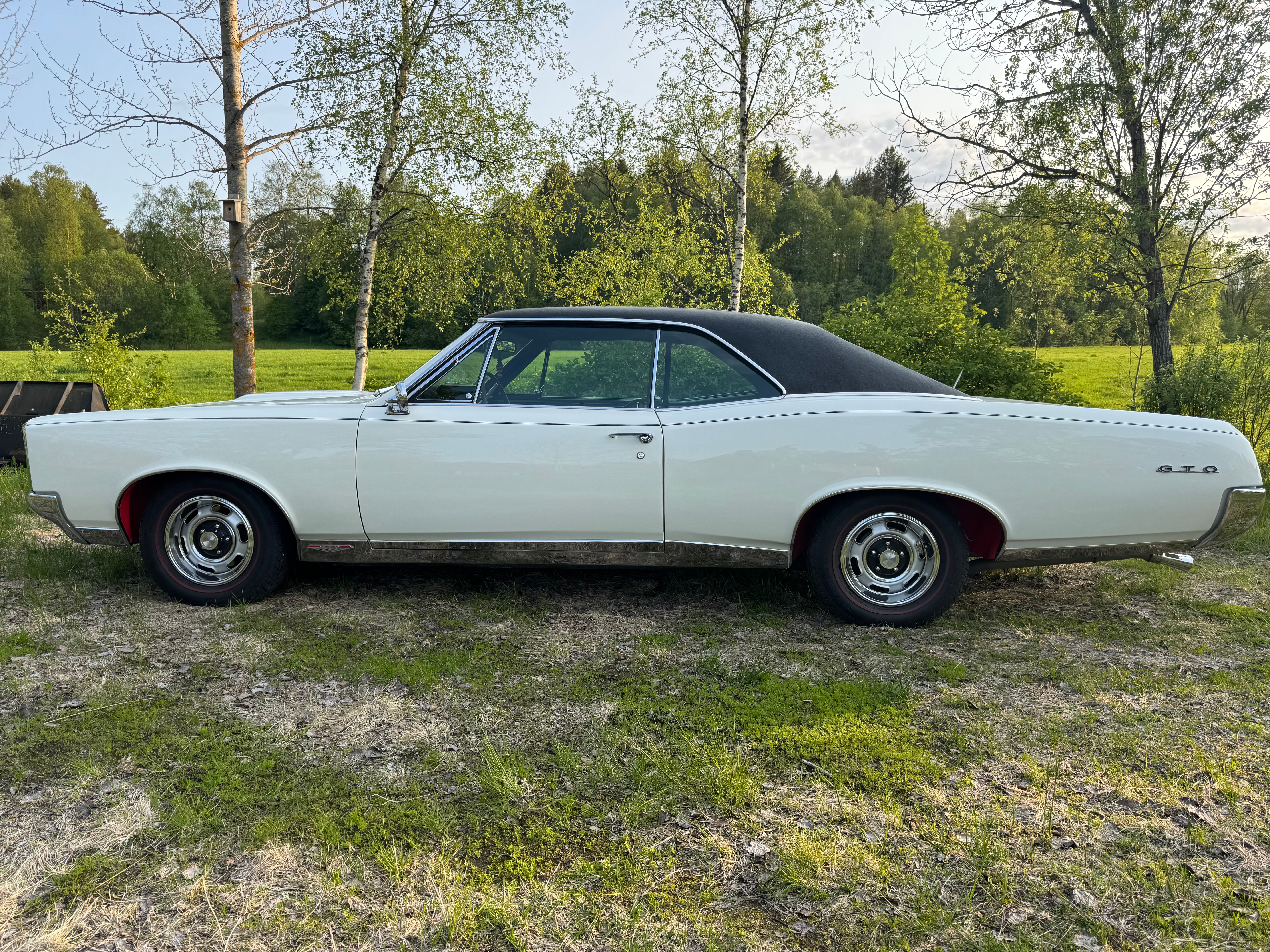 Pontiac GTO