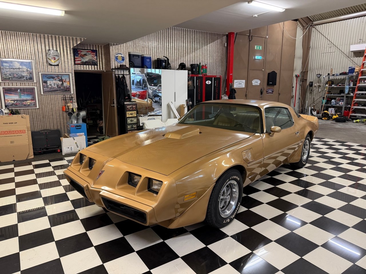 Pontiac Trans Am Original fint skick -81 1981, bild 2/10