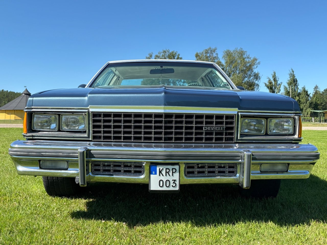 Chevrolet Caprice 1978, photo 7/26