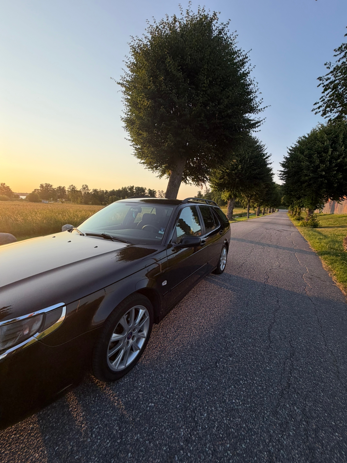 Saab 9-5 2008, kuva 3/10