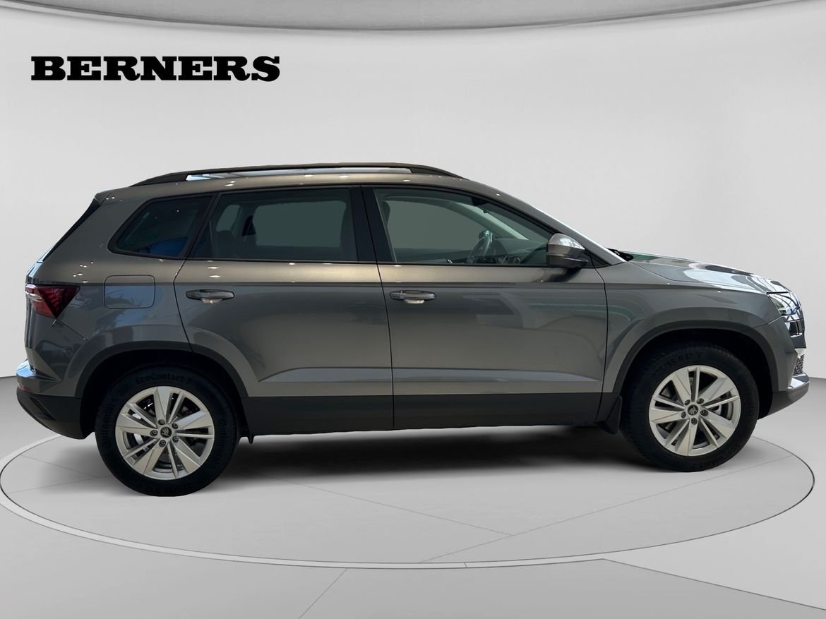 Skoda Karoq 2027, photo 6/18