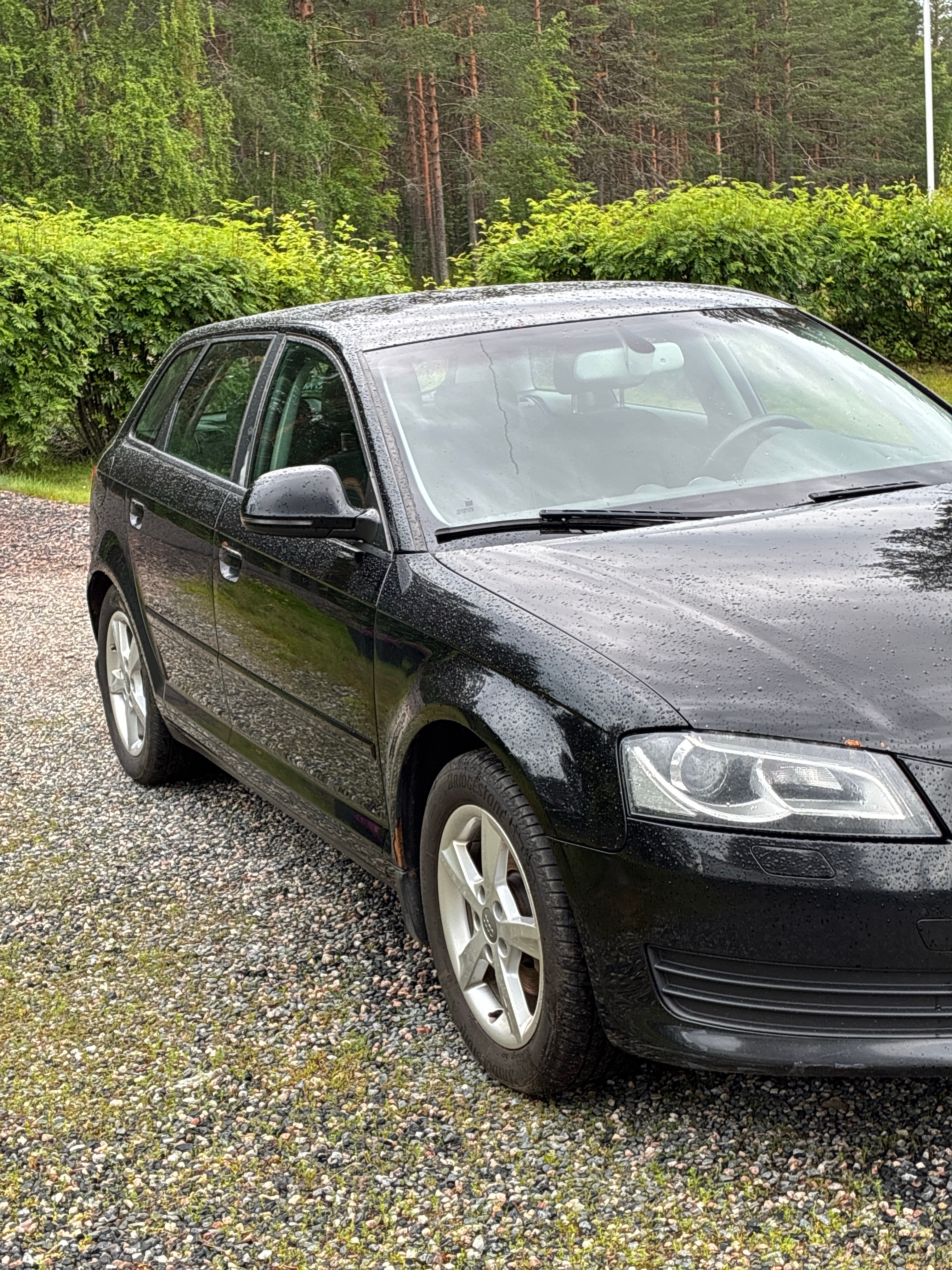Audi A3 Sportback 1.6 TDI Manuell 2010, bild 3/12