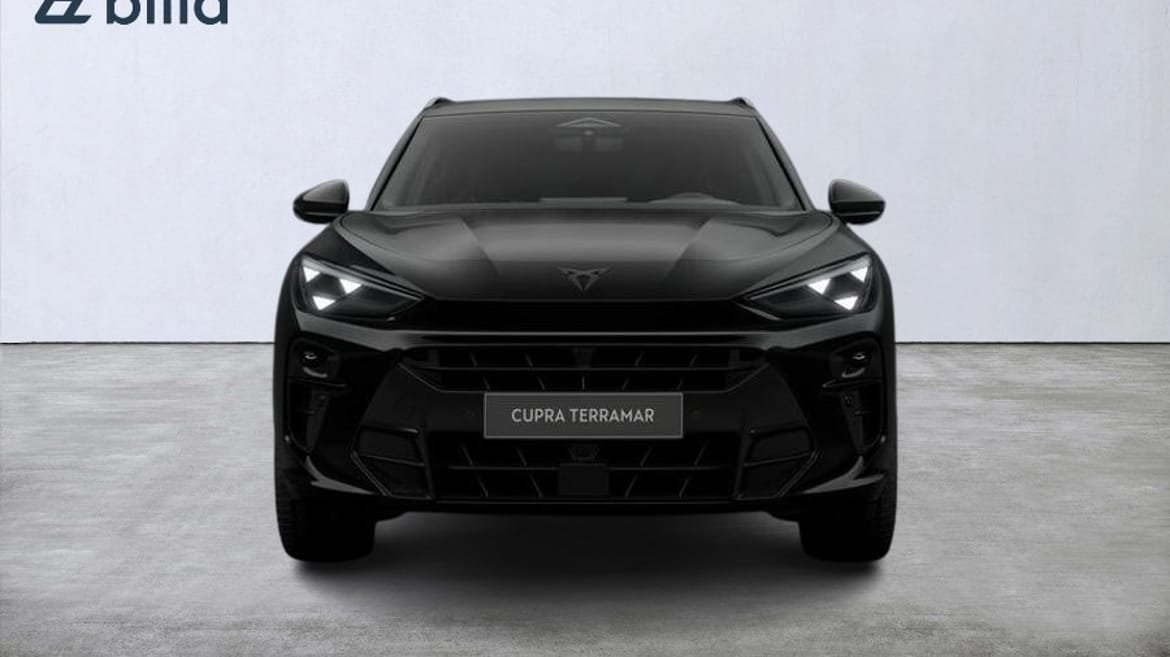 Cupra Terramar Tribe edt/Privatleasing 2026, bild 5/10